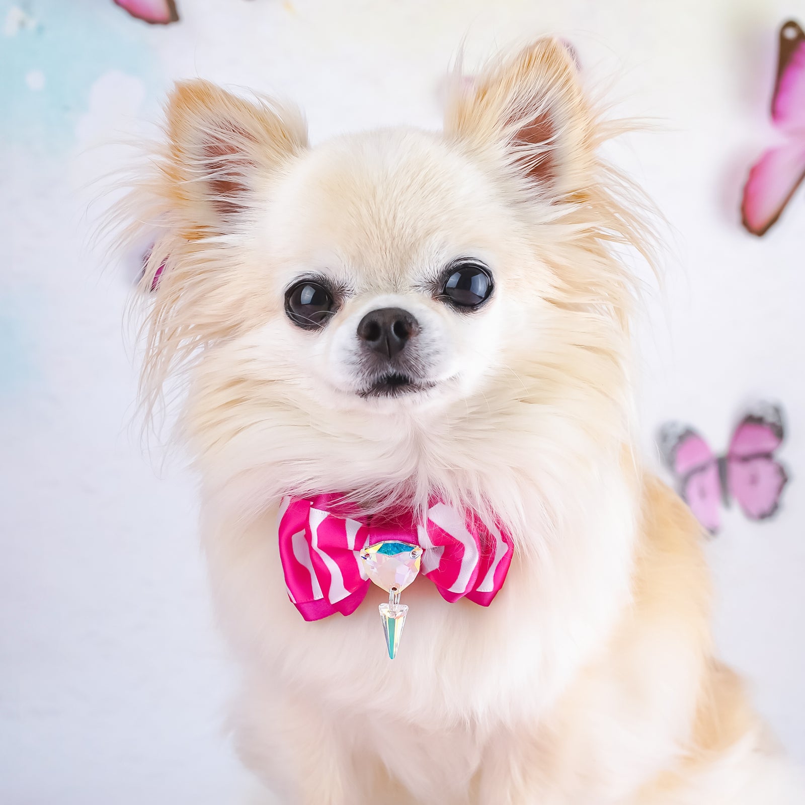 BCA Puppy Love Zebra, Petite