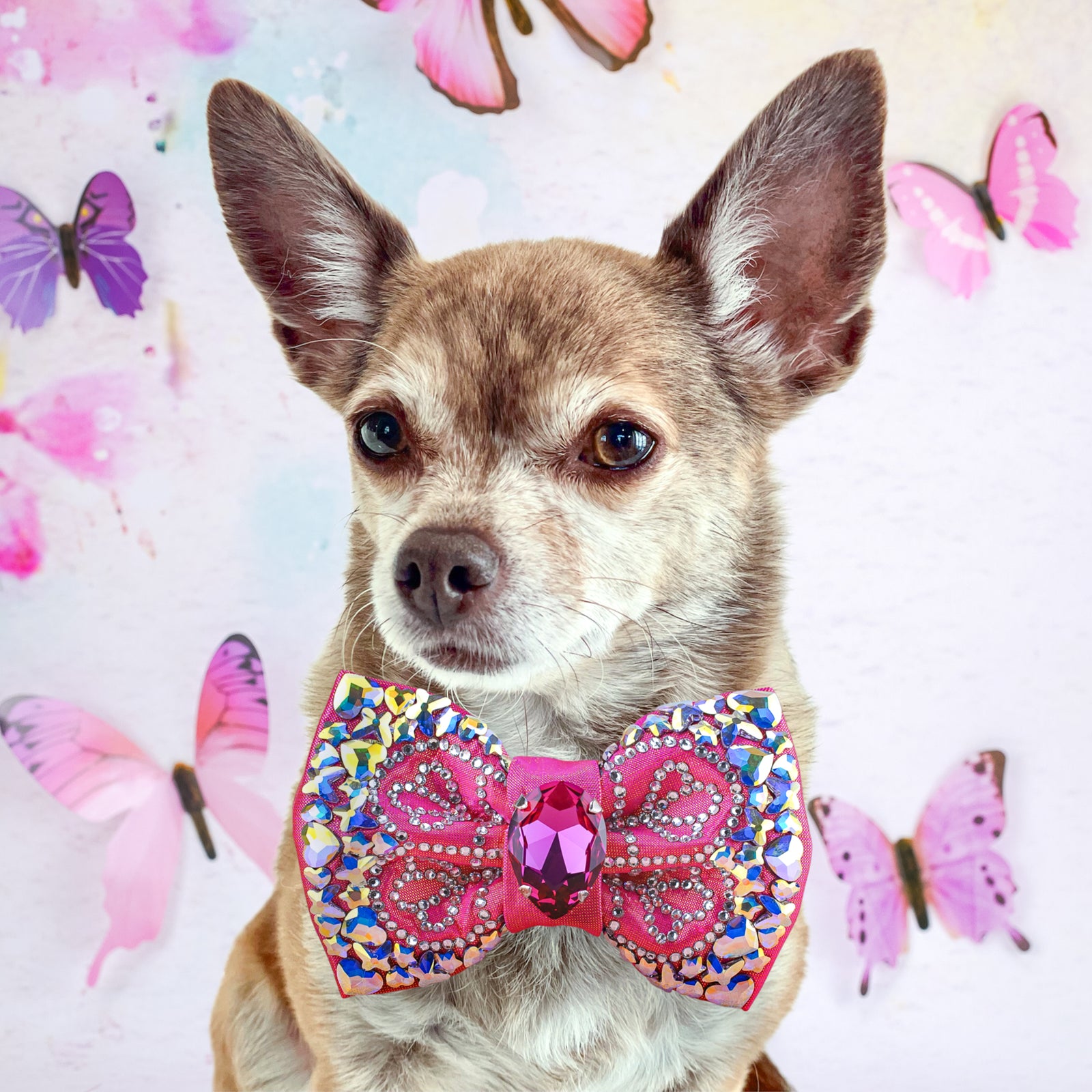 BCA VIP Bella Bellina, Petite