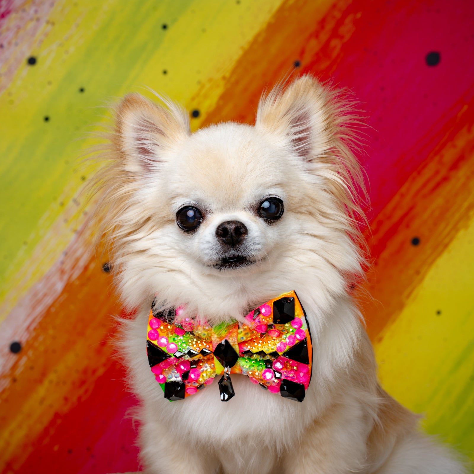 Neon Noir VIP Gizmo Bow, Petite