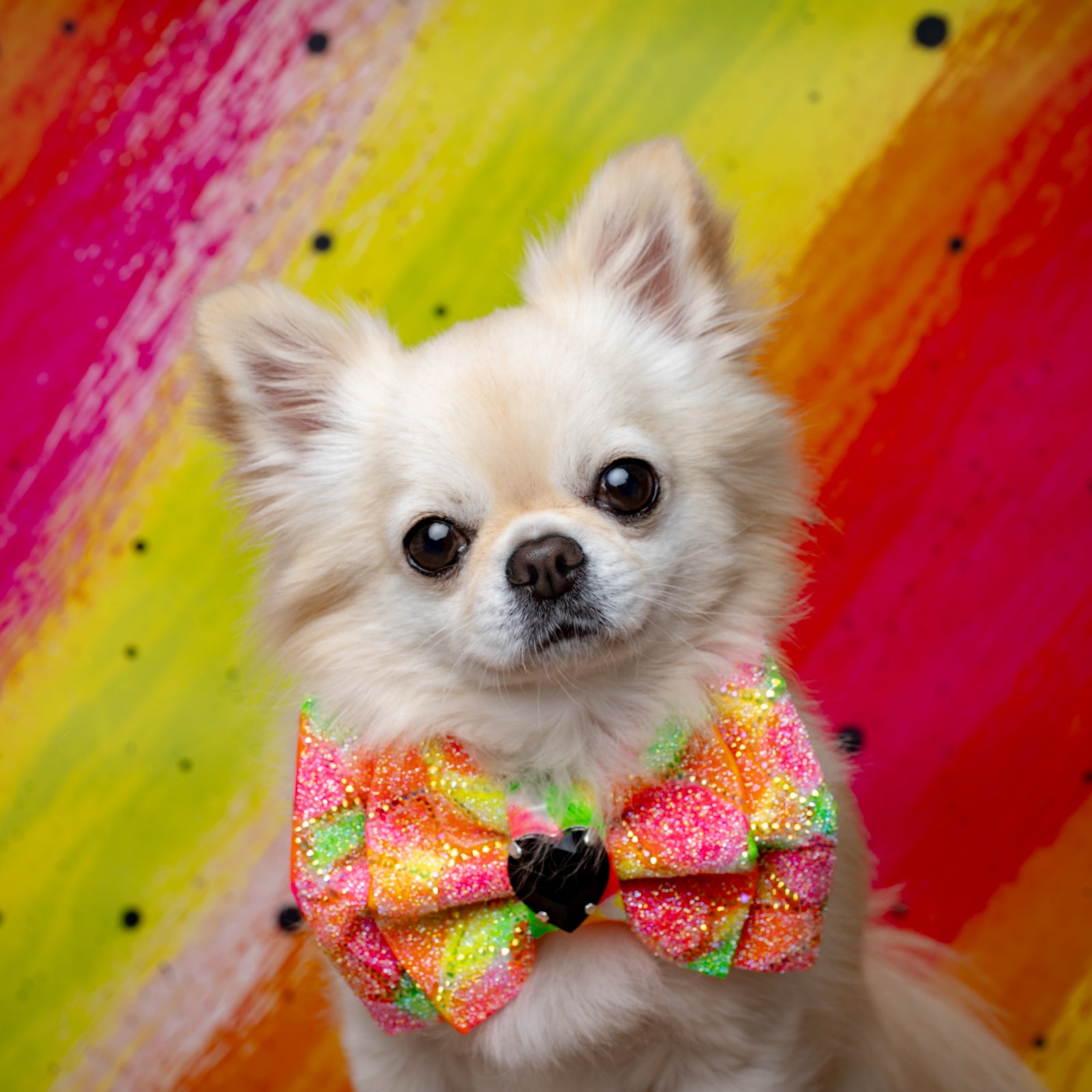 Neon Noir VIP Puppy Love Bow, Medium