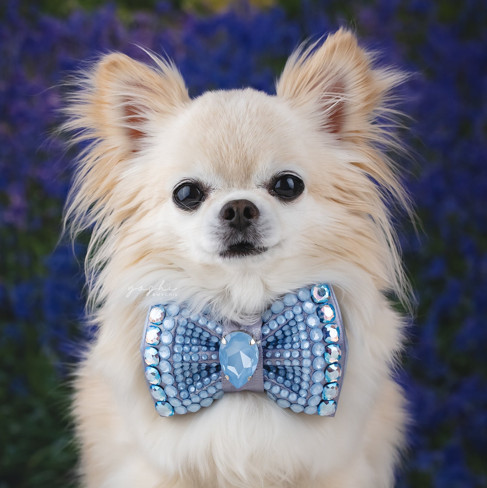 Bluebells VIP Monarch Bow, Lilac Petite