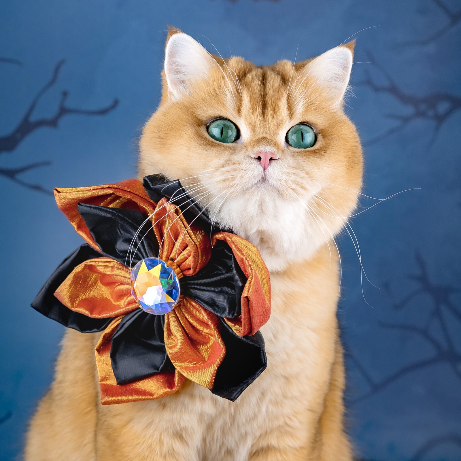 Spooktacular 2025 Hollywood Silk Rose, Grand