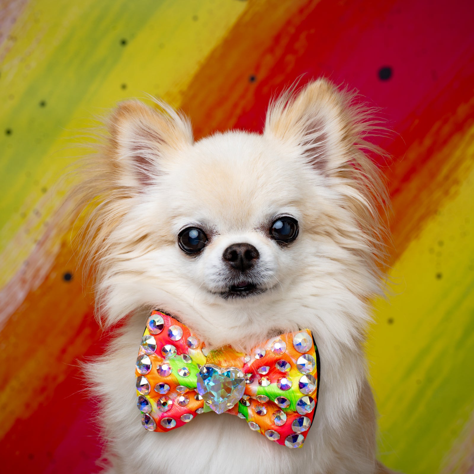 Neon Noir VIP Monarch Bow, Neon, Petite