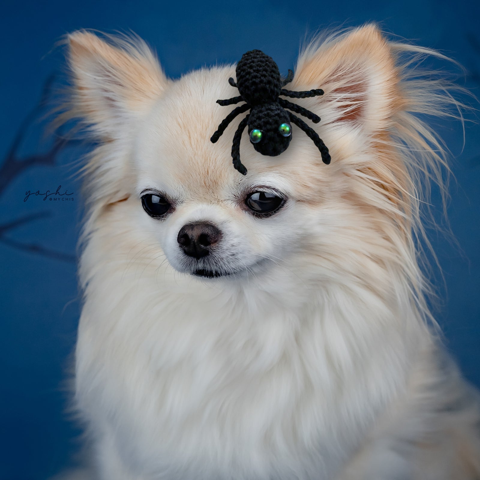 Spooktacular 2025 Crochet Spider Clip