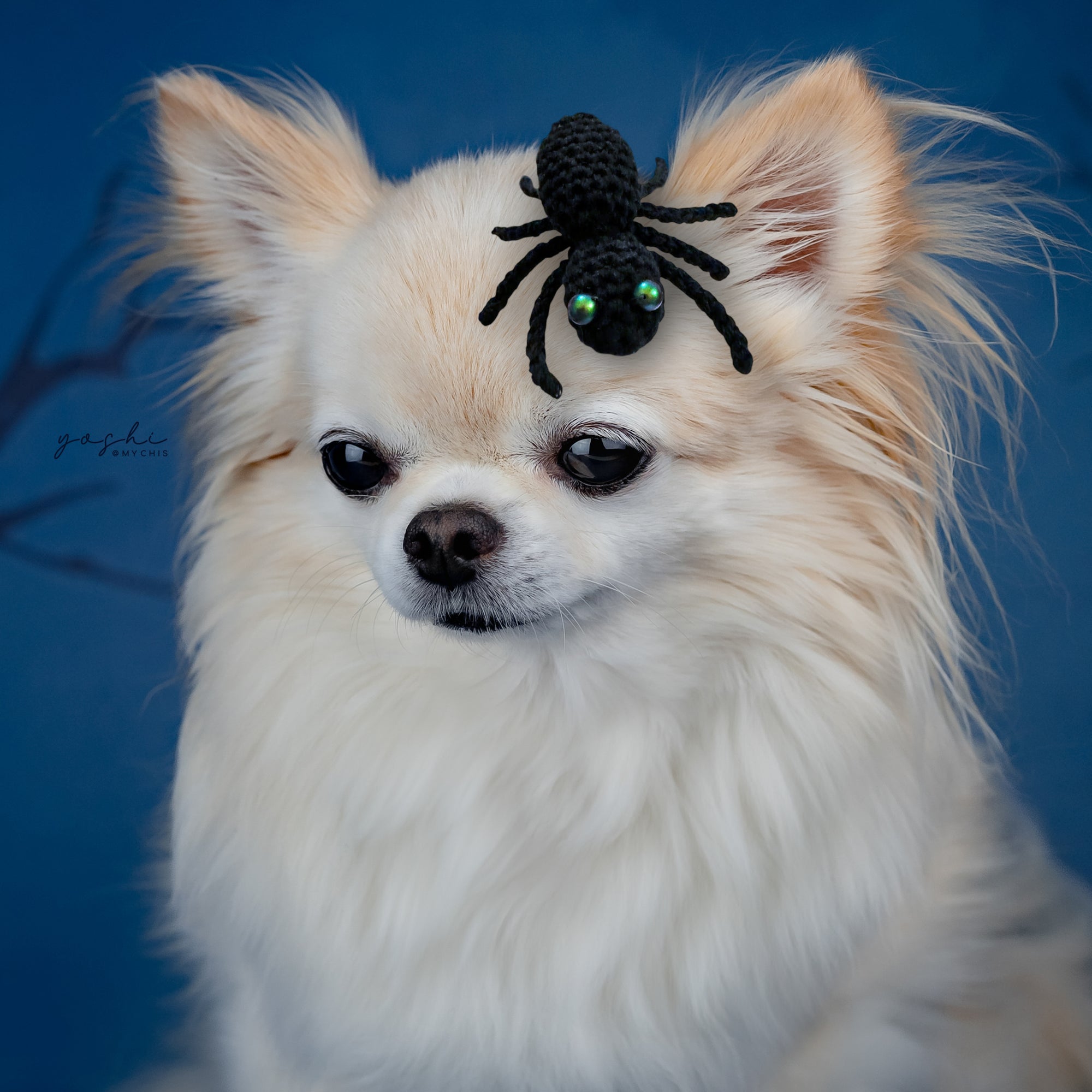 Spooktacular Crochet Spider Clip