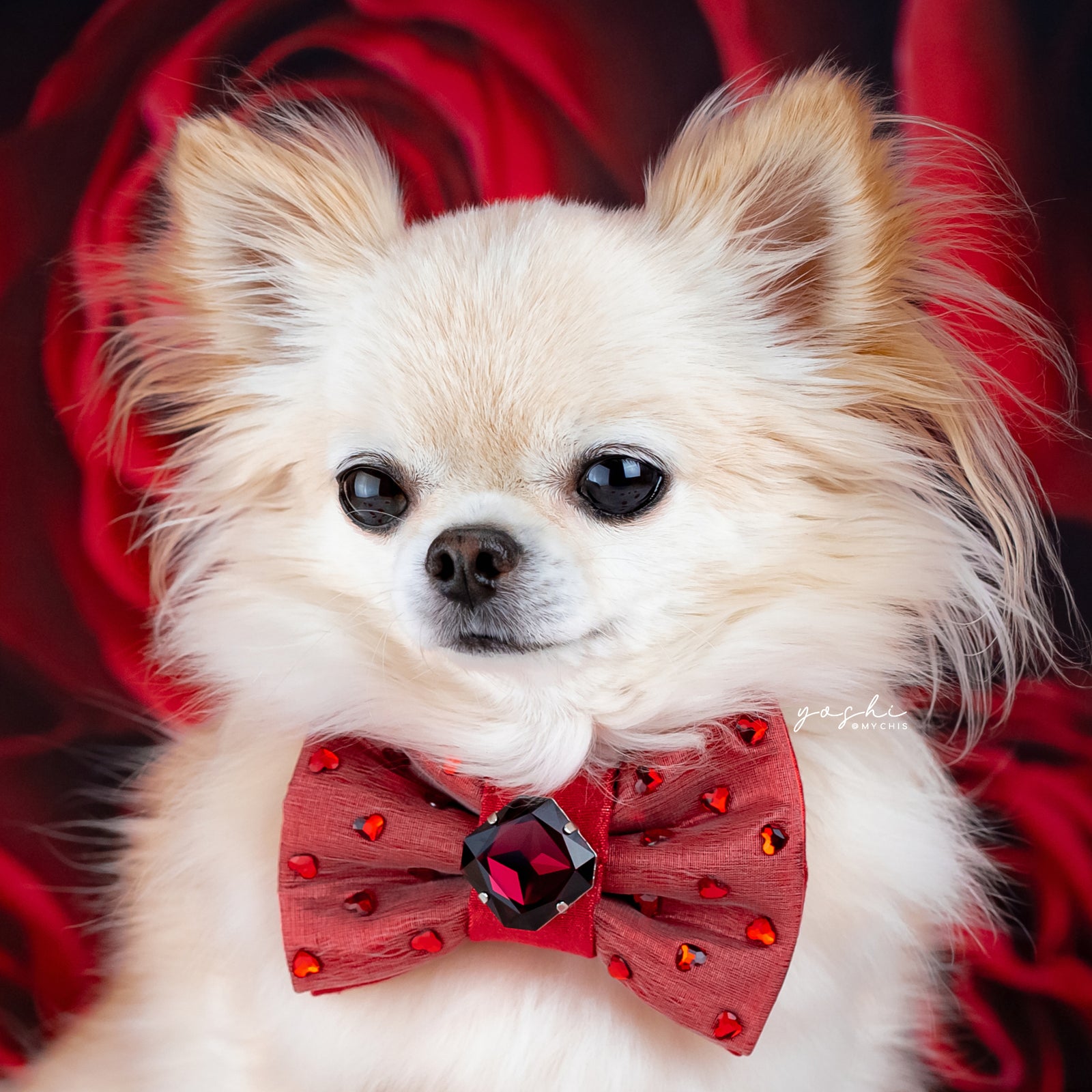 Ruby Rose Reversible Bejewelled Bow, Petite