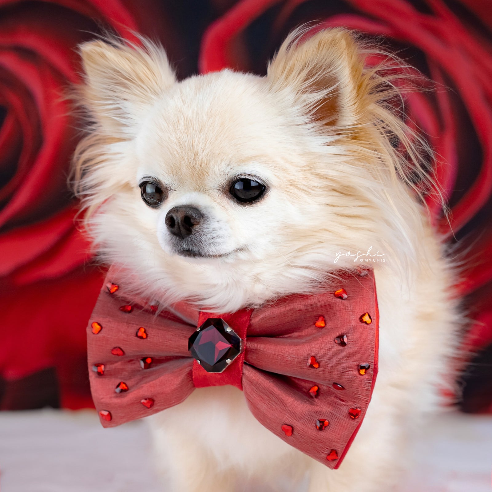 Ruby Rose Reversible Bejewelled Bow, Medium