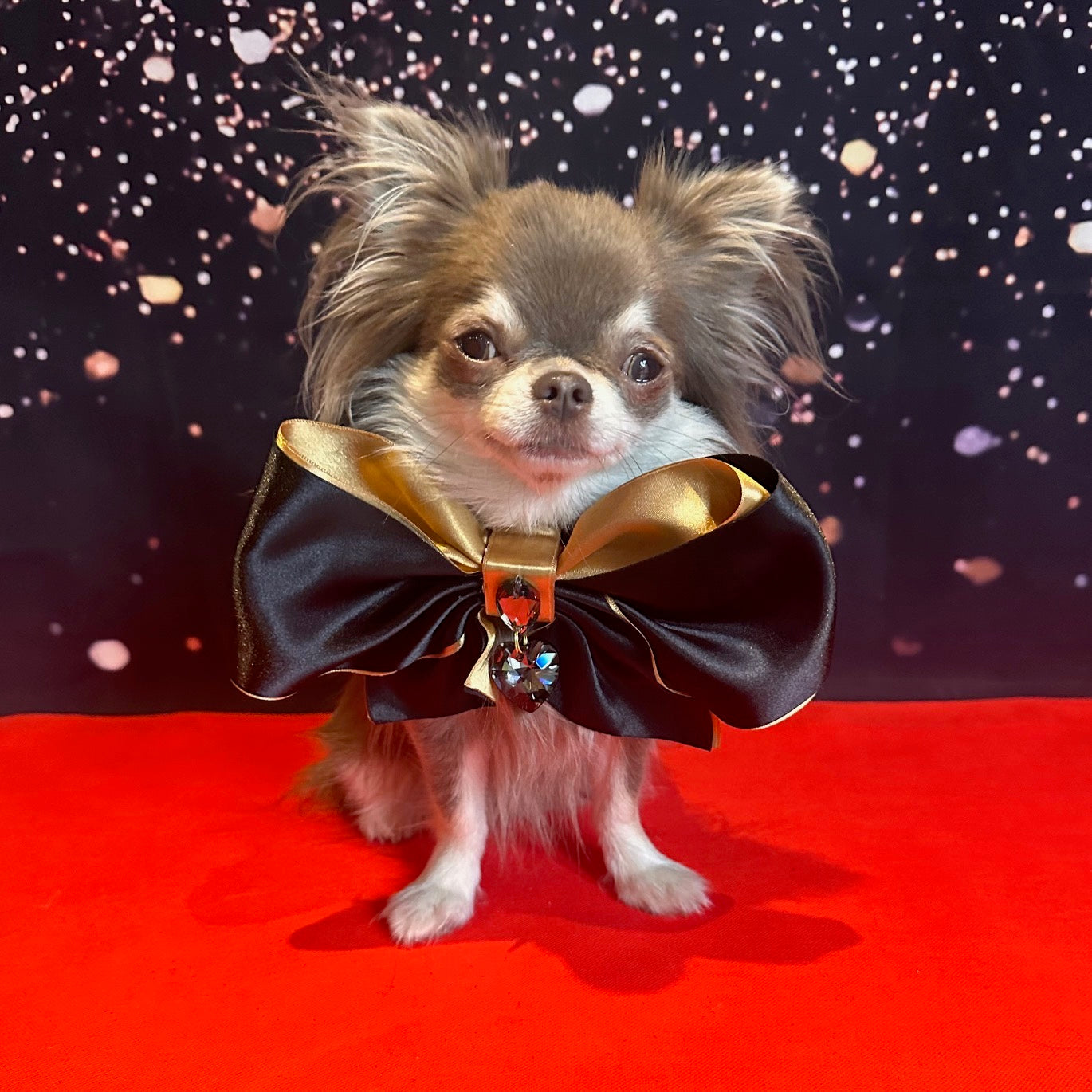 The Oscars Clara Bow, Grand