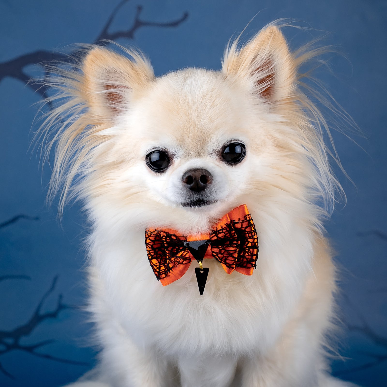 Spooktacular 2025 Puppy Love, Petite