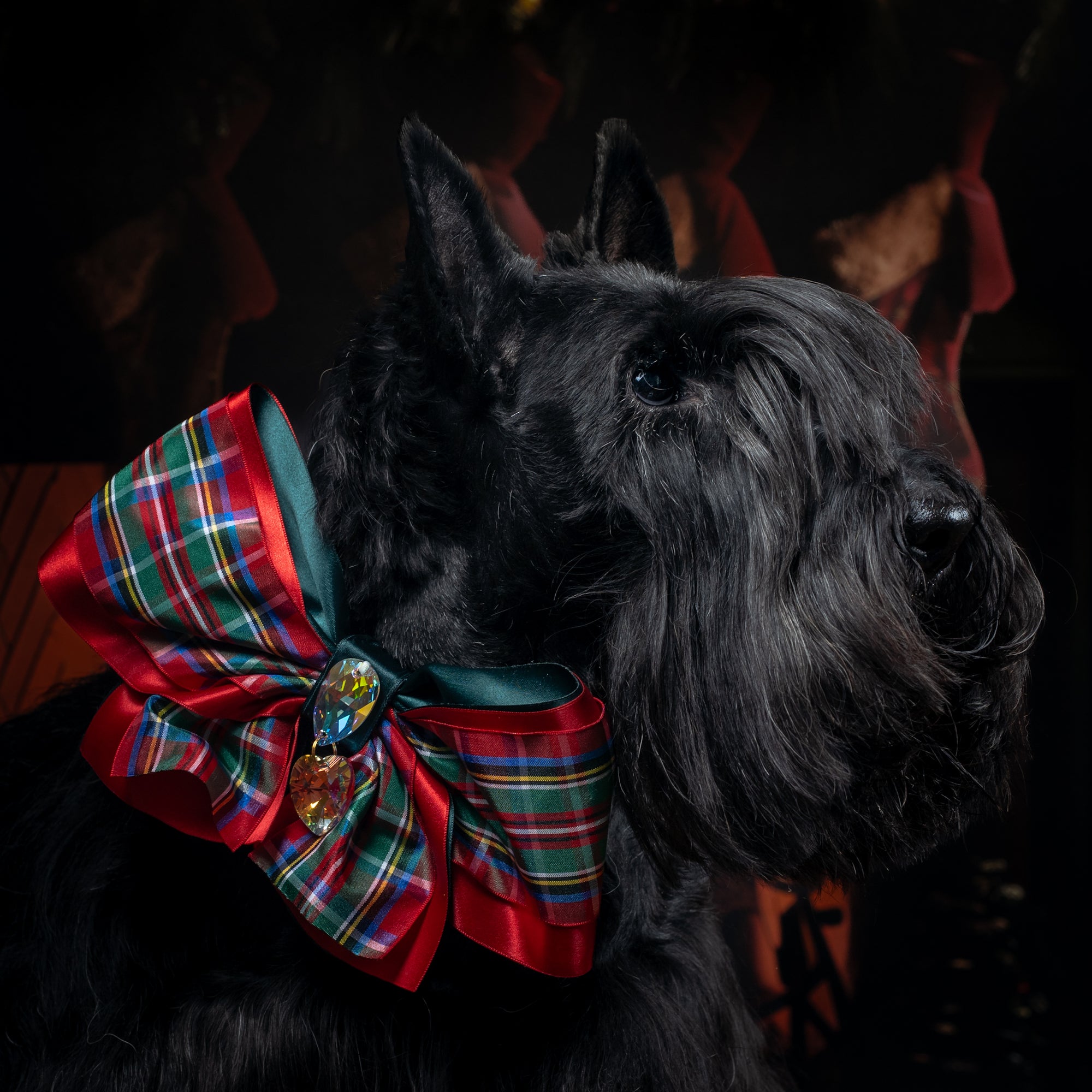 Highland Fling Clara Tartan Bow, Grand