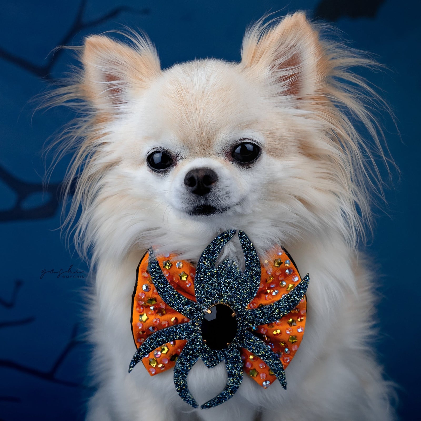 Spooktacular 2025 VIP Reversible Spider, Petite