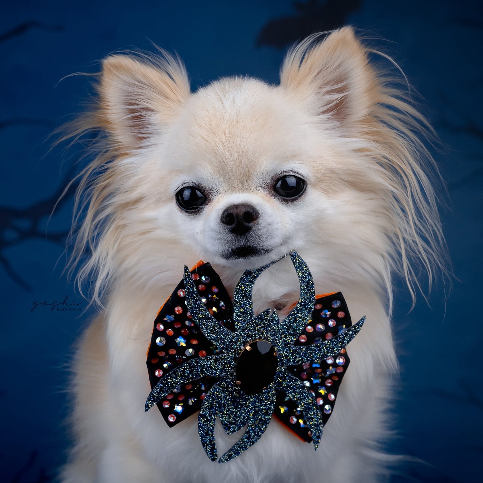 Spooktacular 2025 VIP Reversible Spider, Petite