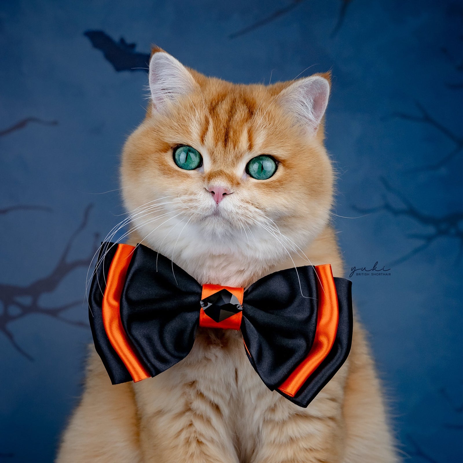 Spooktacular 2025 Amara Bow, Medium