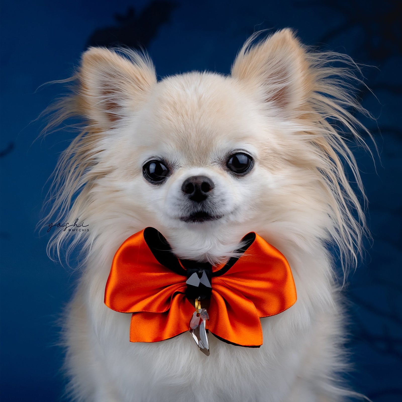 Spooktacular 2025 Clara Bow, Petite