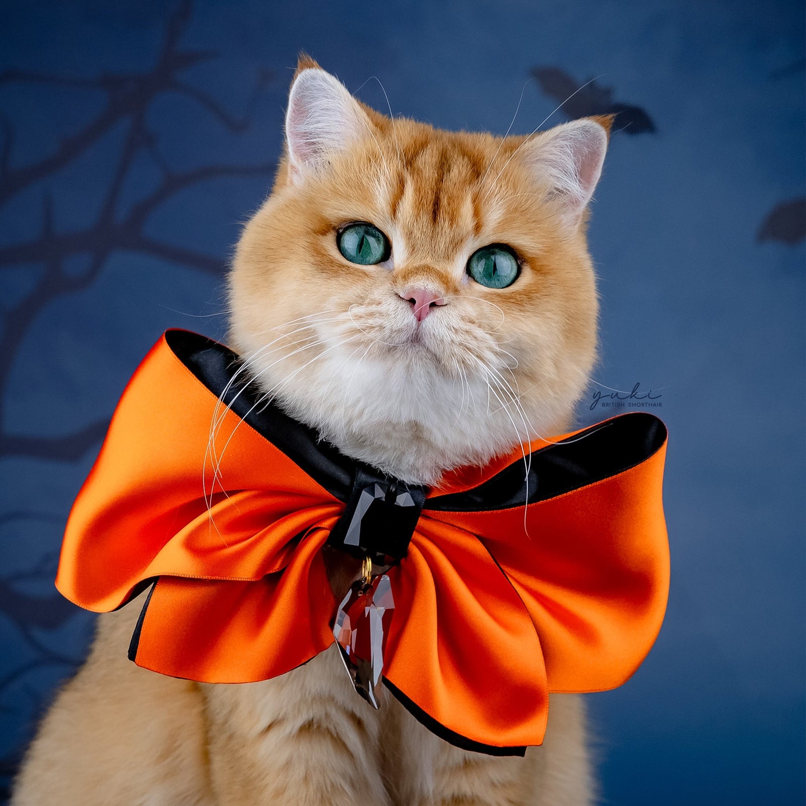 Spooktacular 2025 Clara Bow, Grand