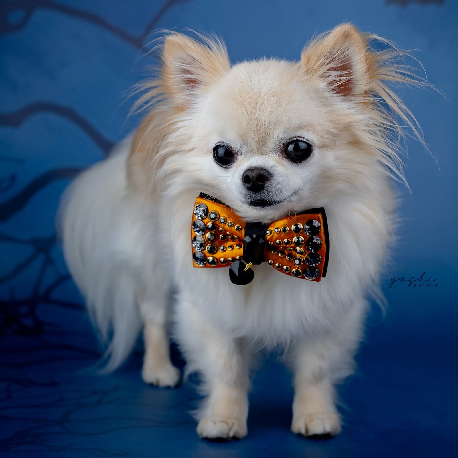 Spooktacular 2025 VIP Monarch Bow, Mini