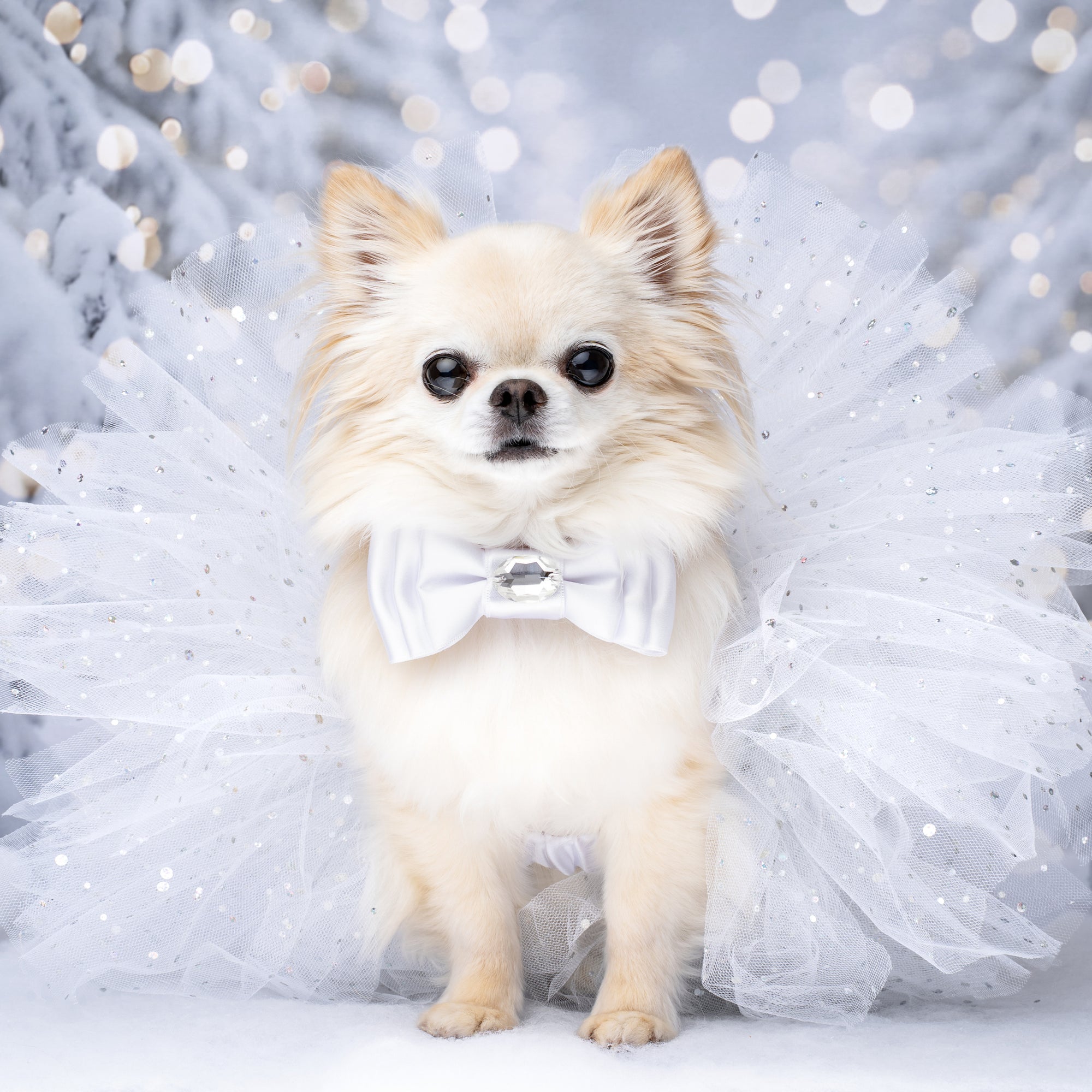 Let it Snow Tutus