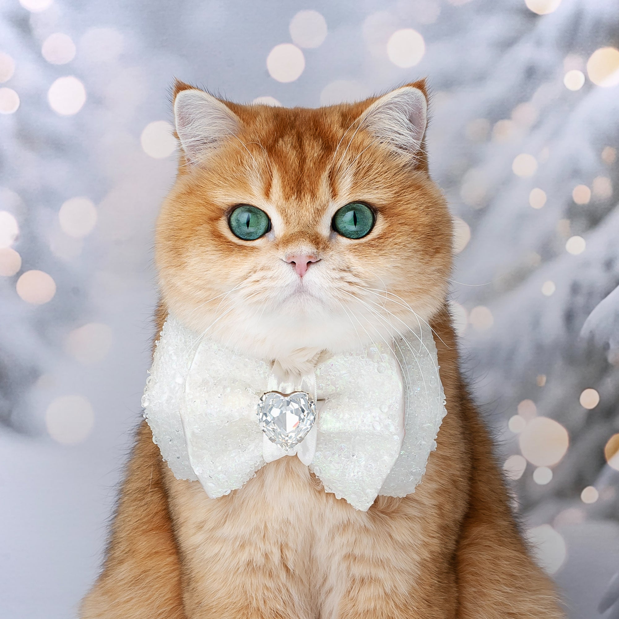 Let it Snow VIP Puppy Love Bow, Medium