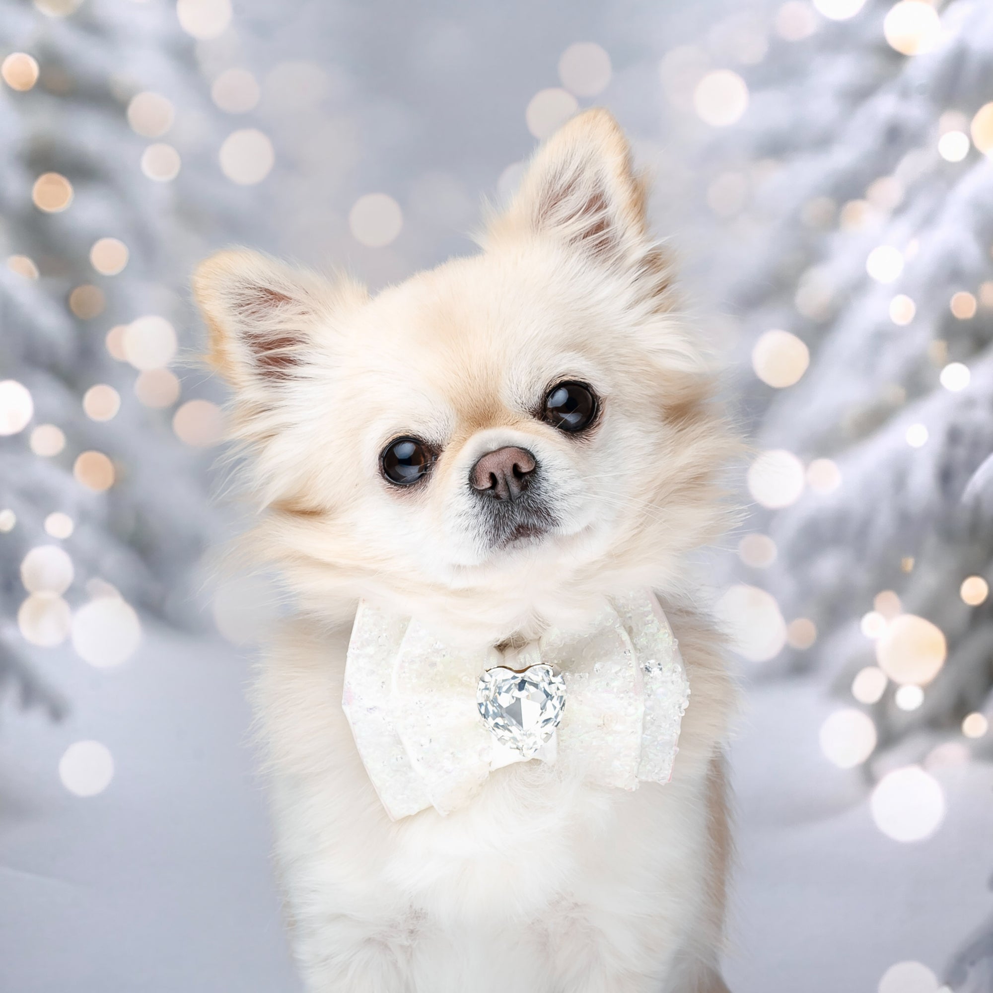 Let it Snow VIP Puppy Love, Petite