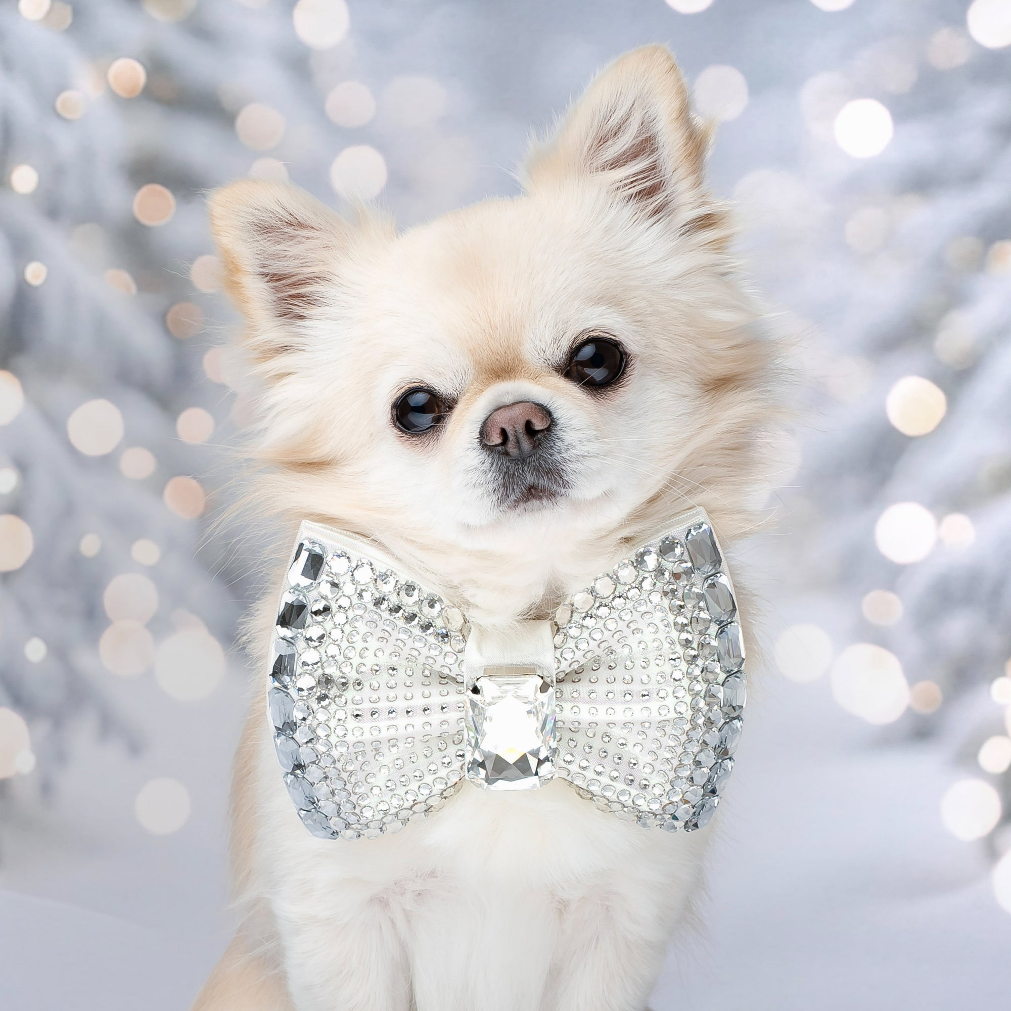 Let it Snow VIP Monarch Bow Medium