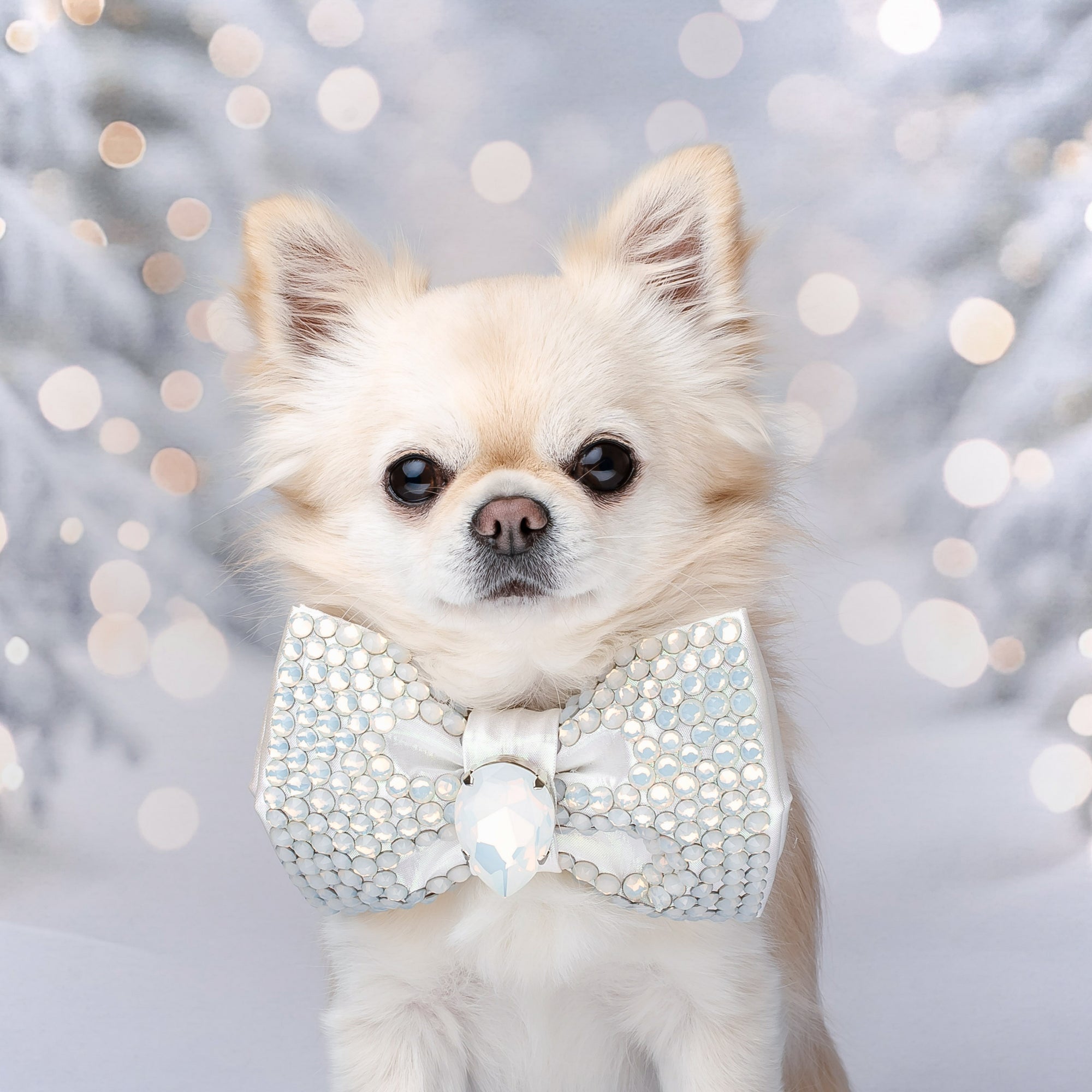 Let it Snow VIP Bubble Bow, Medium