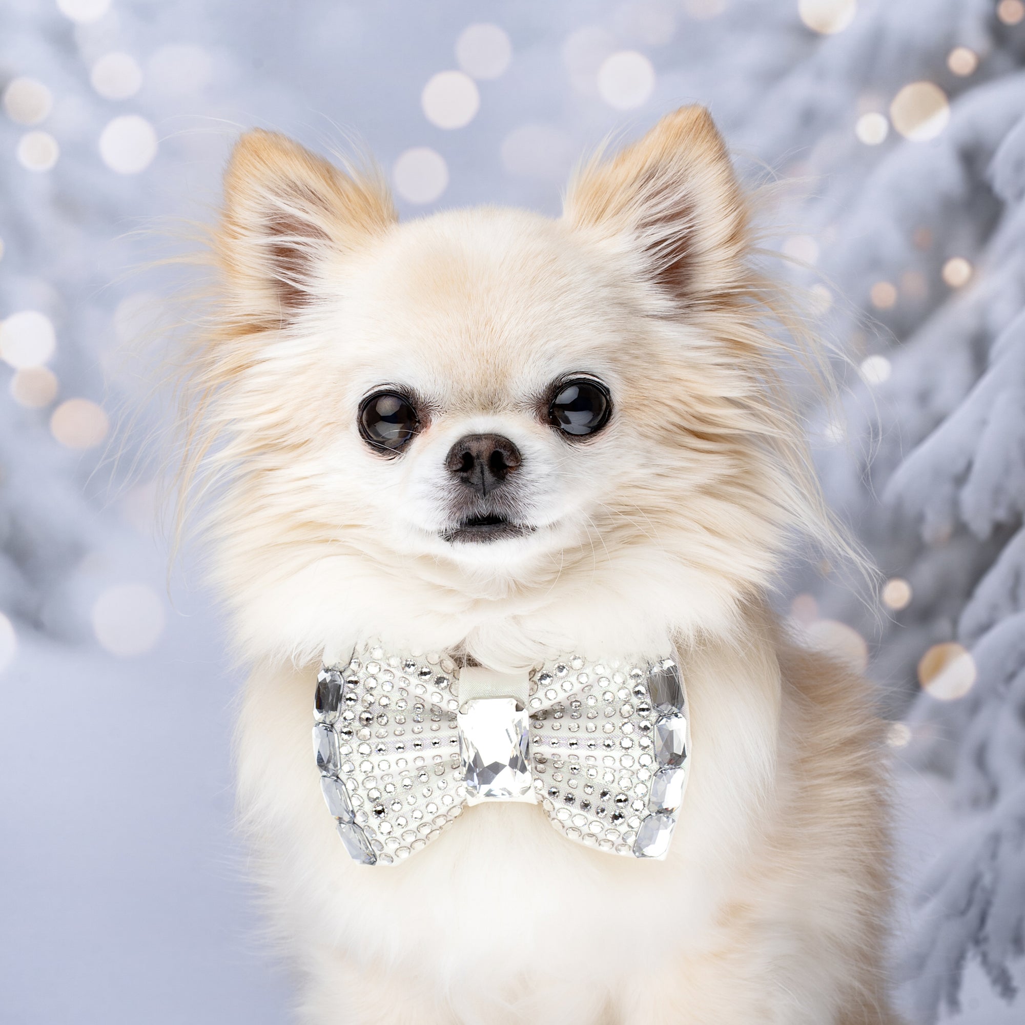 Let it Snow VIP Monarch Bow, Petite