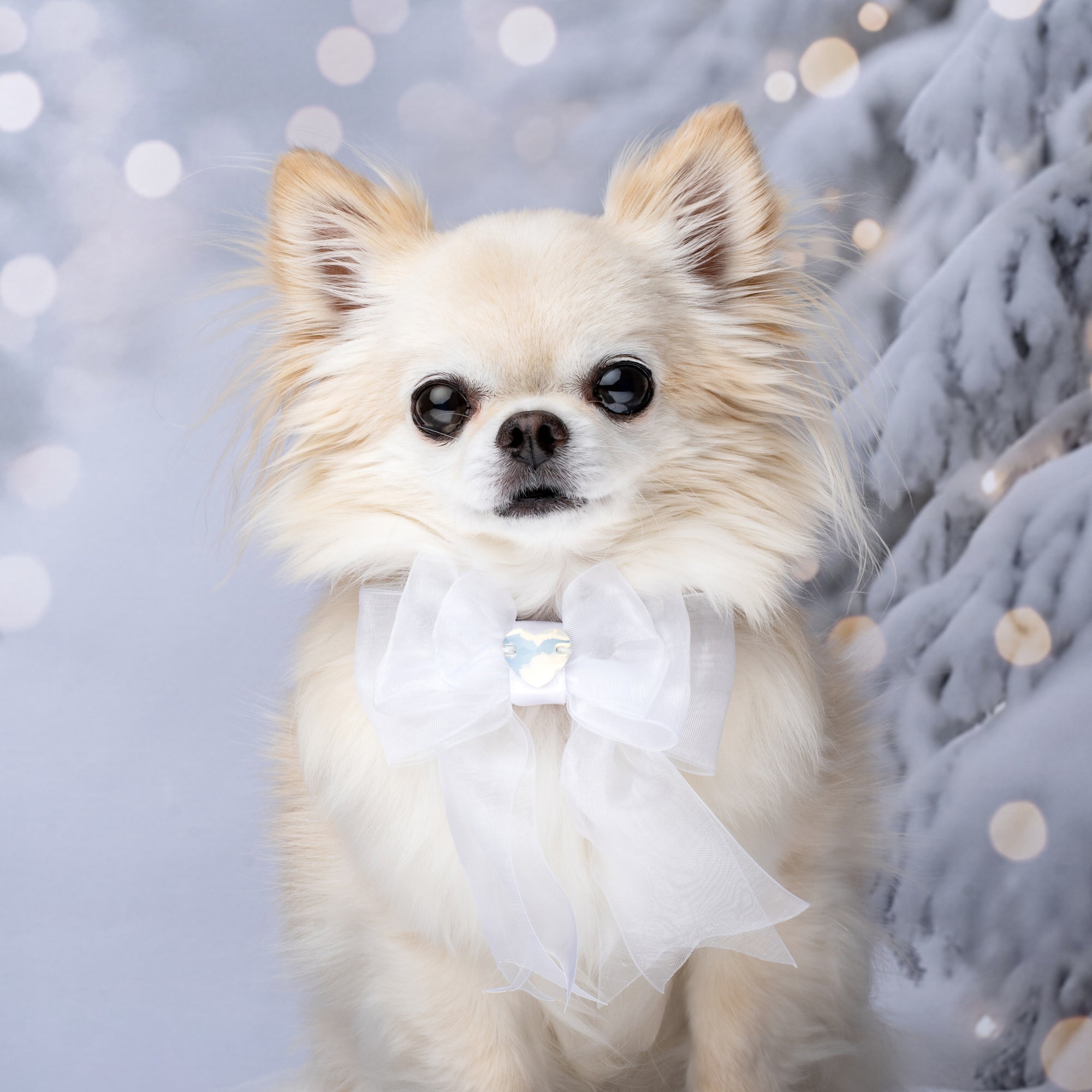 Let it Snow Fayette Organza Bow, Petite