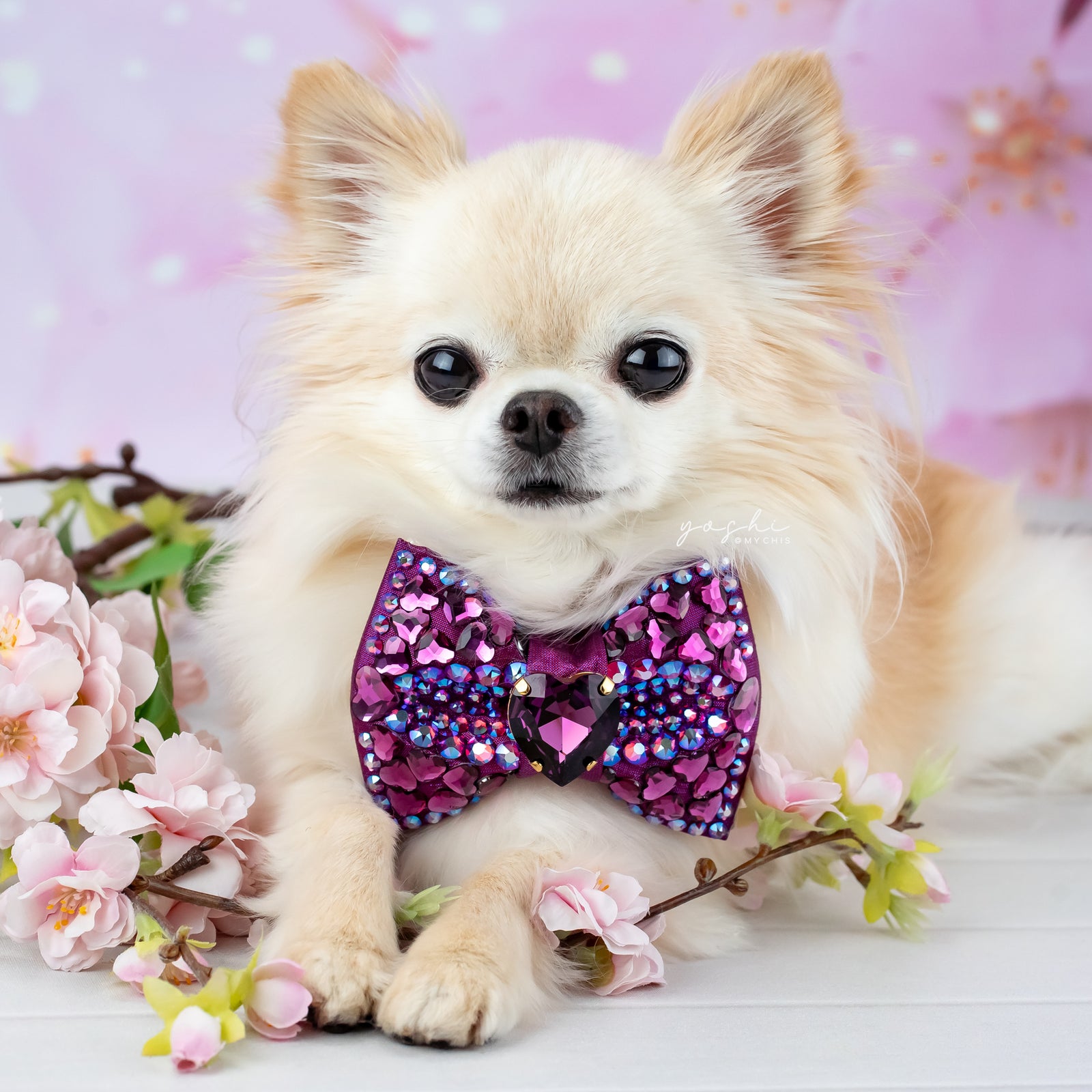 Mon Cheri Queen of Hearts VIP Bow, Petite