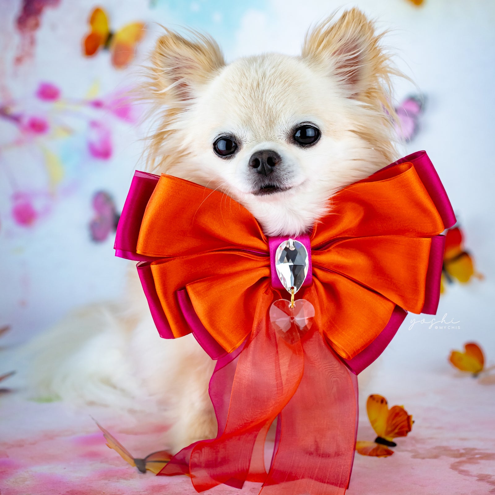 Papillon Organza Butterfly Bow, Grand, Pink/Orange