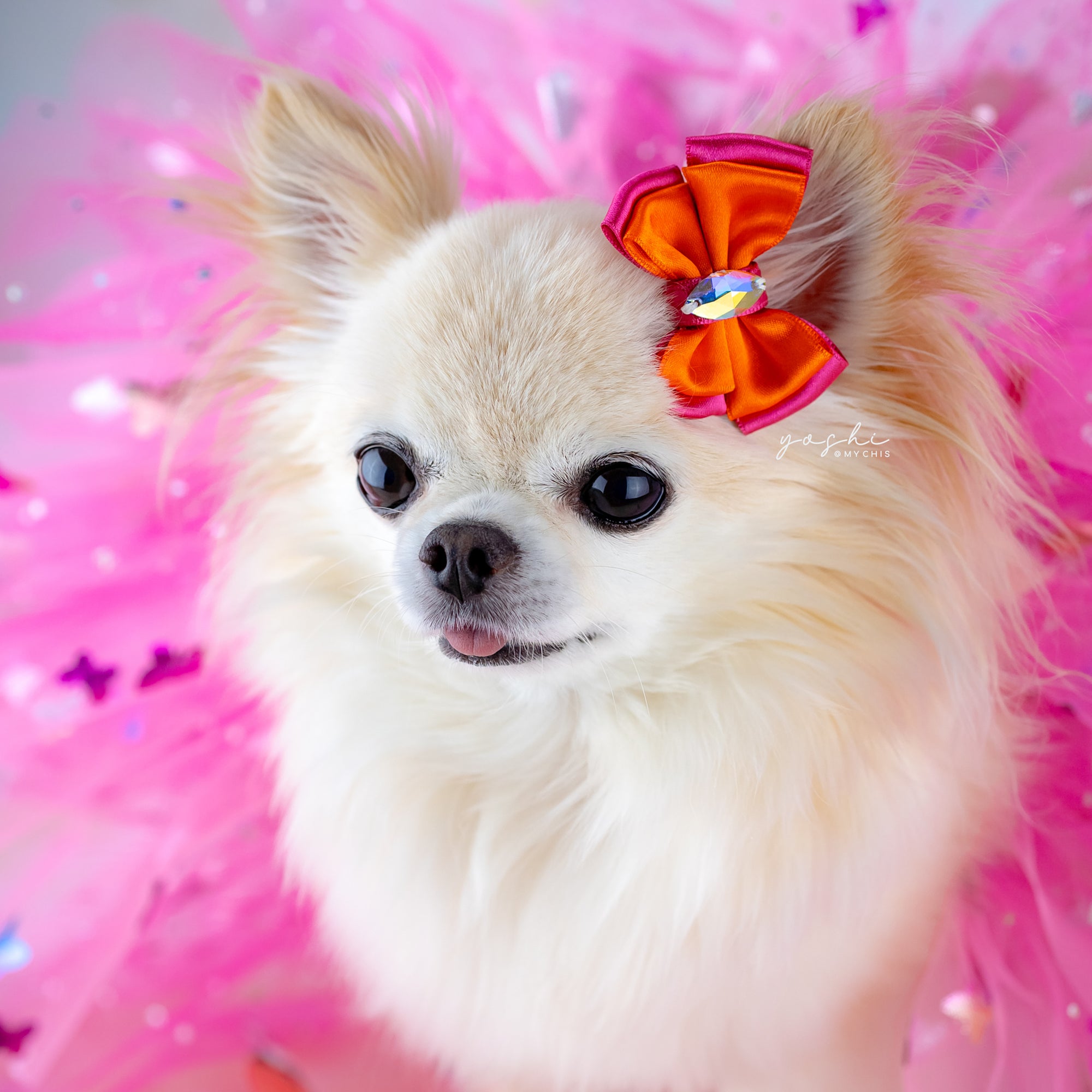 Papillon Tutus