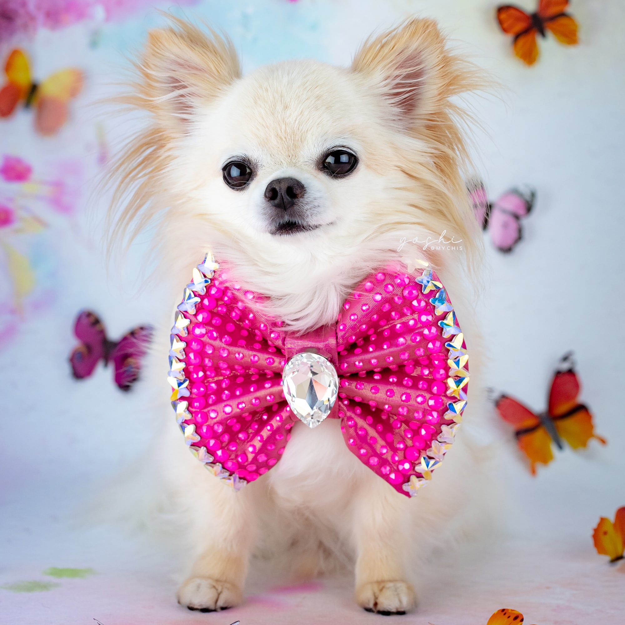 Papillon VIP Emperor Bow, Pink, Medium