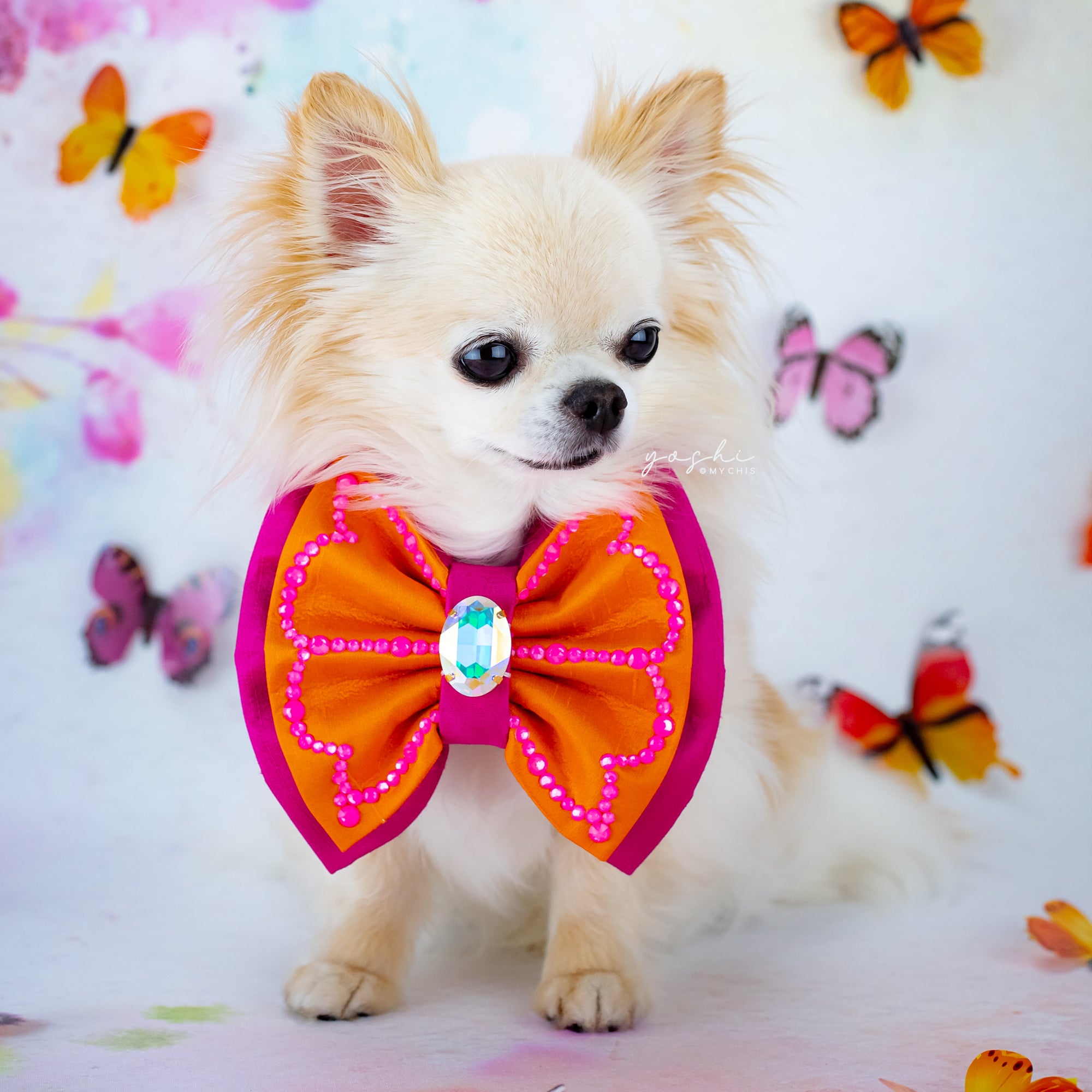 Papillon Silk Bow Tie, Medium, Pink/Orange