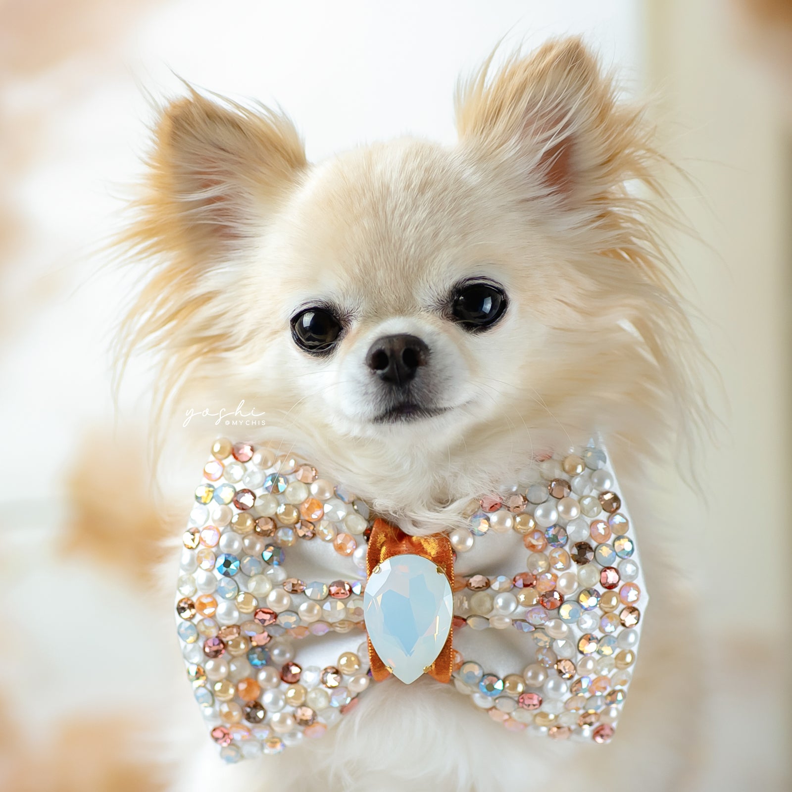 Peaches & Pearls VIP Bubble Bow, Medium