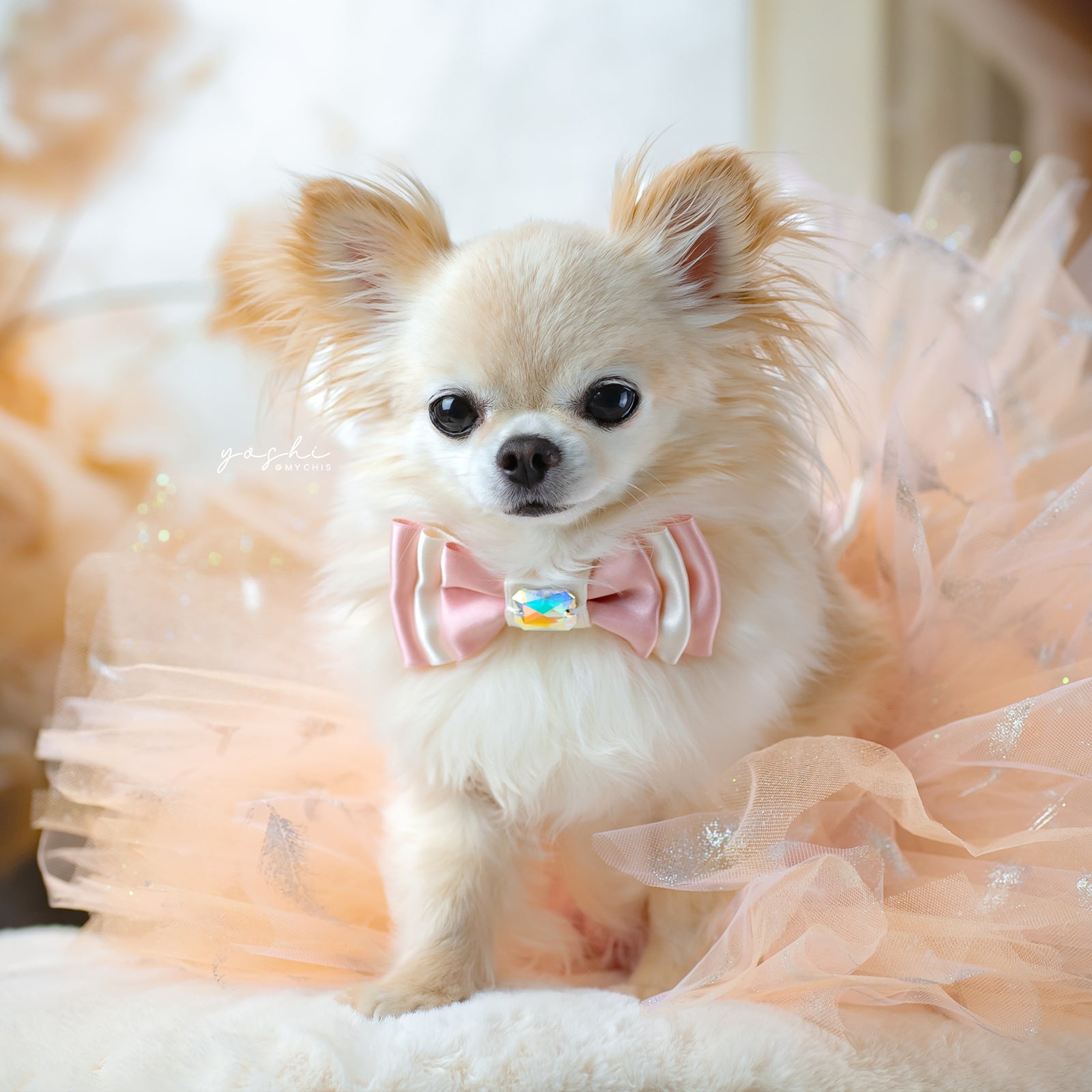 Peaches & Pearls Tutus