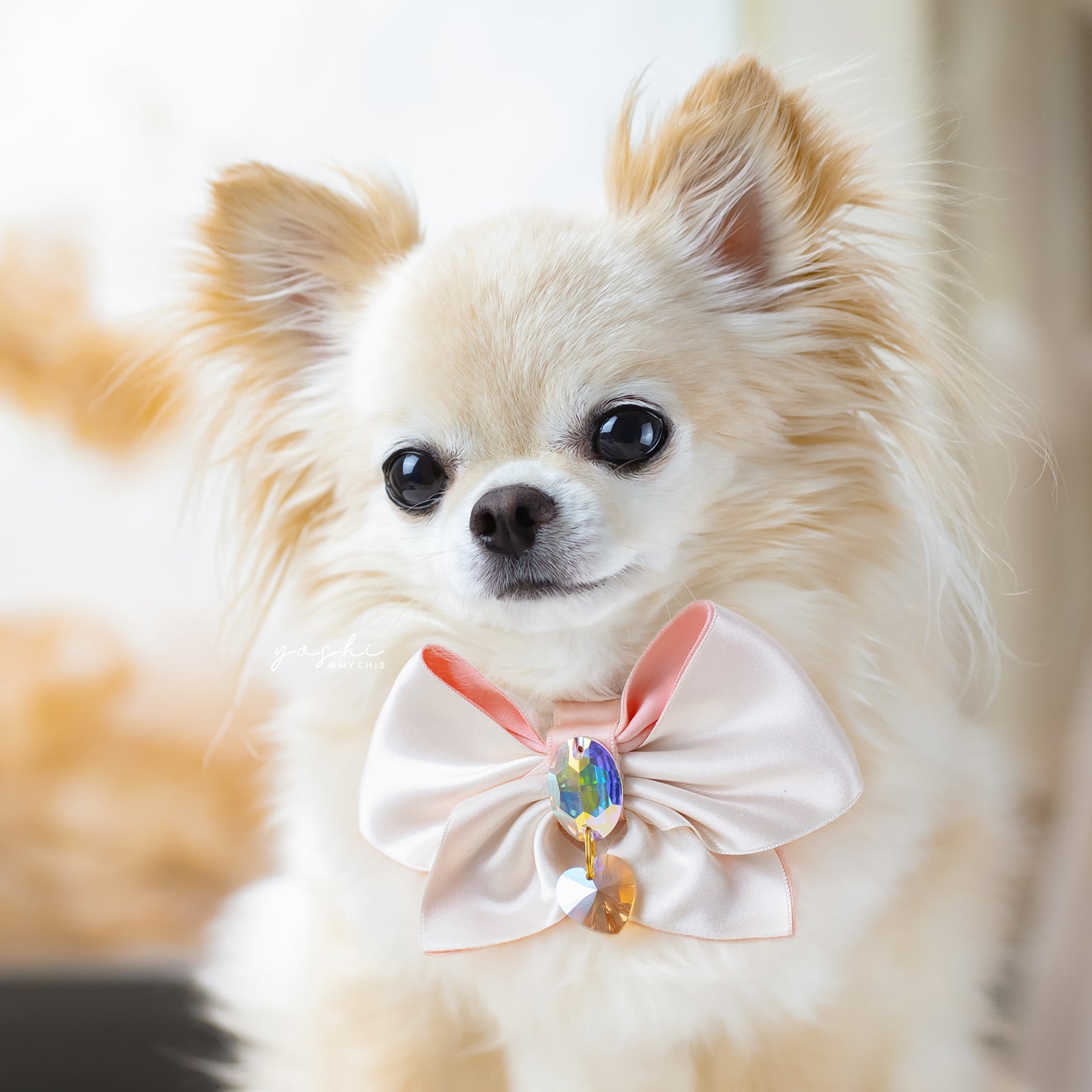 Peaches & Pearls Clara Bow, Petite, Cream