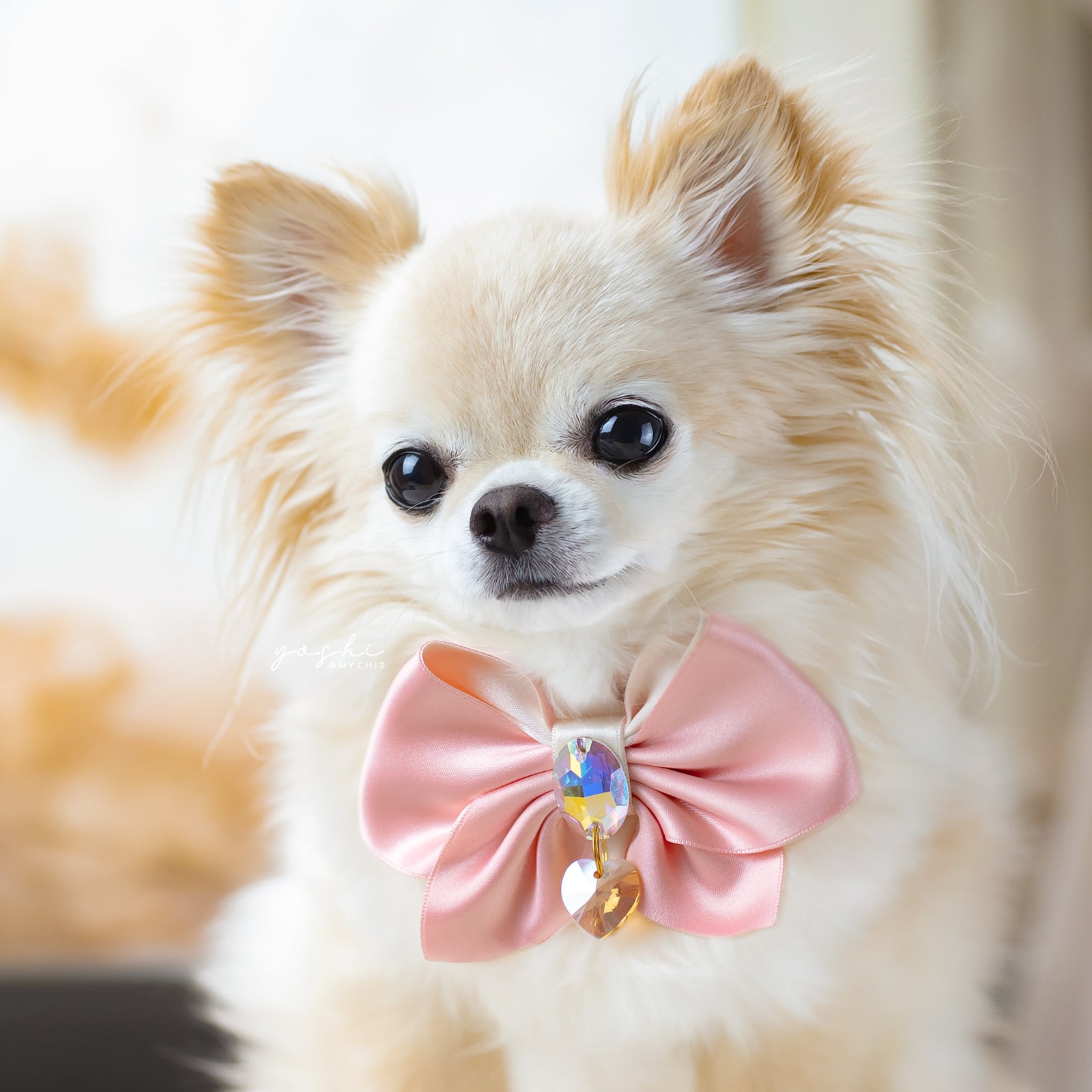 Peaches & Pearls Clara Bow, Petite, Peach