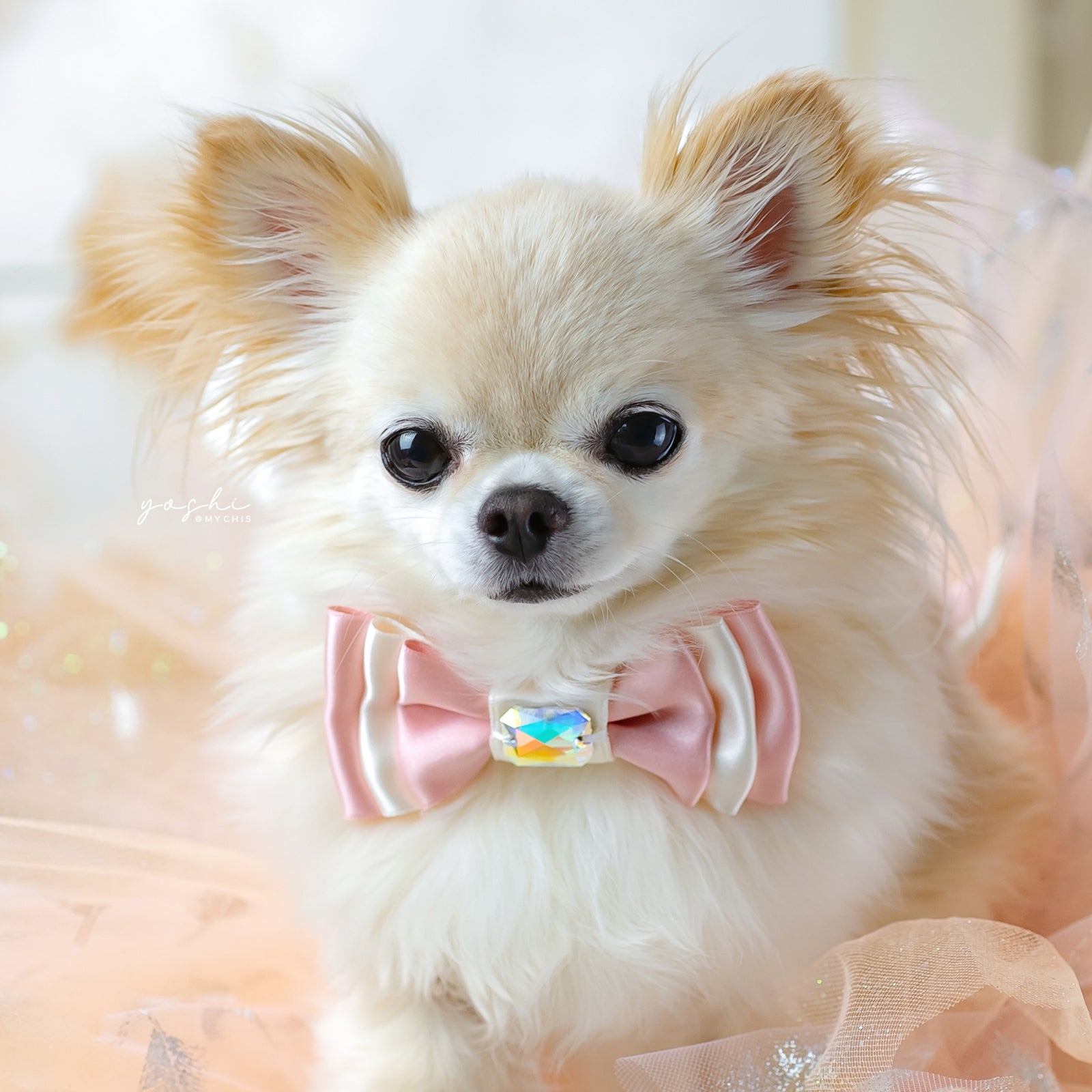 Peaches & Pearls Amara Bow, Petite, Peach