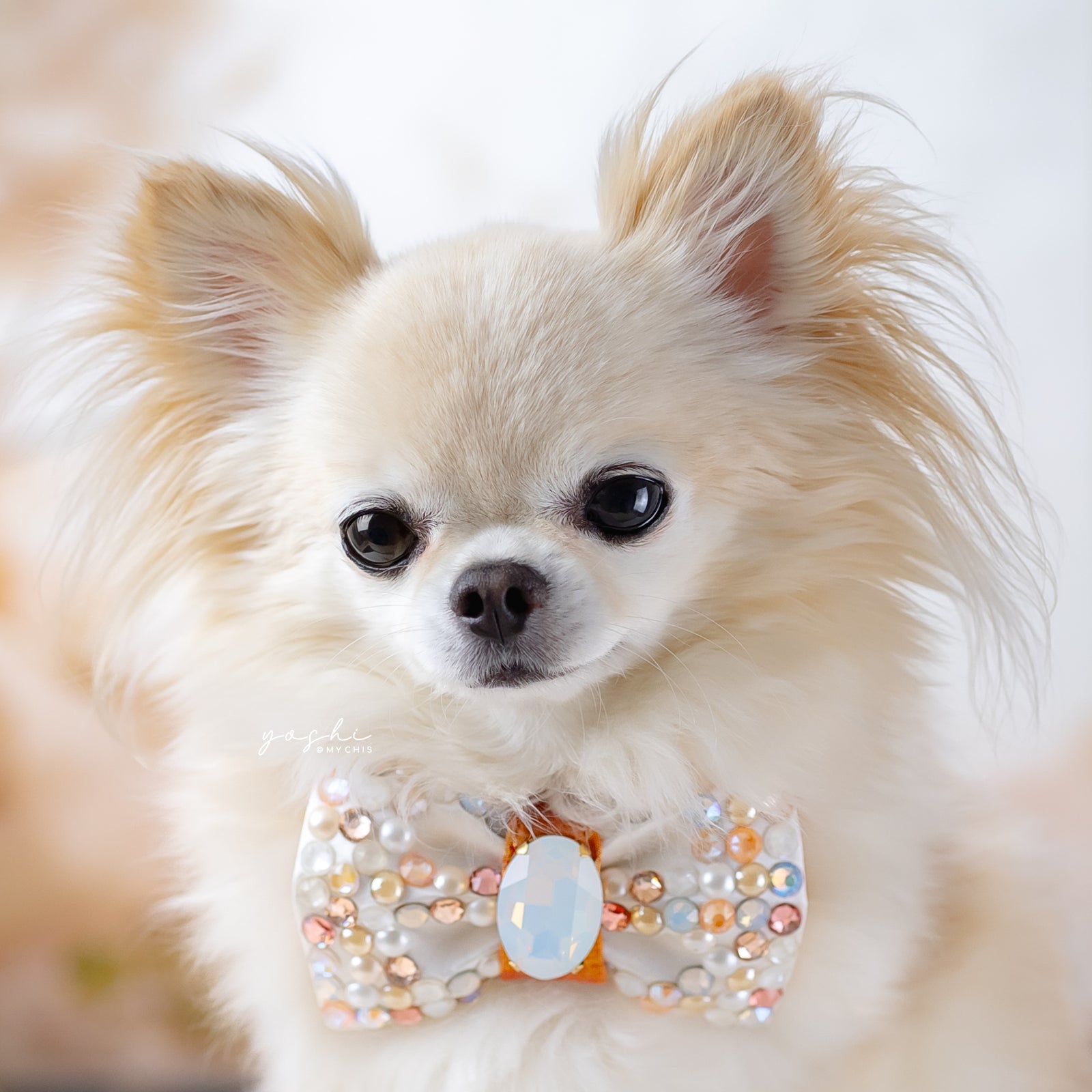 Peaches & Pearls VIP Bubble Pearls Bow, Petite