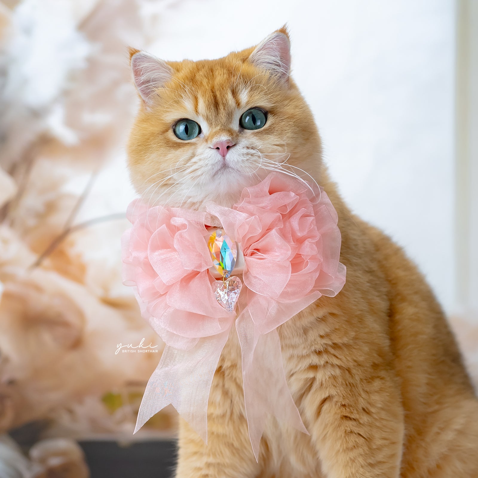 Peaches & Pearls Organza Peach Bow, Grand