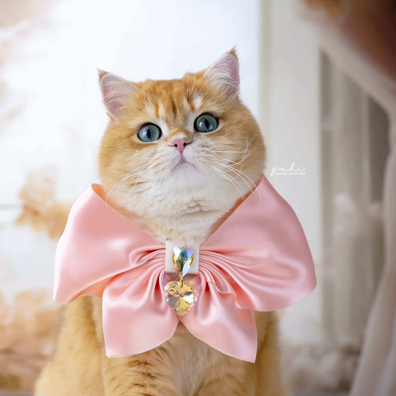 Peaches & Pearls Clara Bow, Grand, Peach