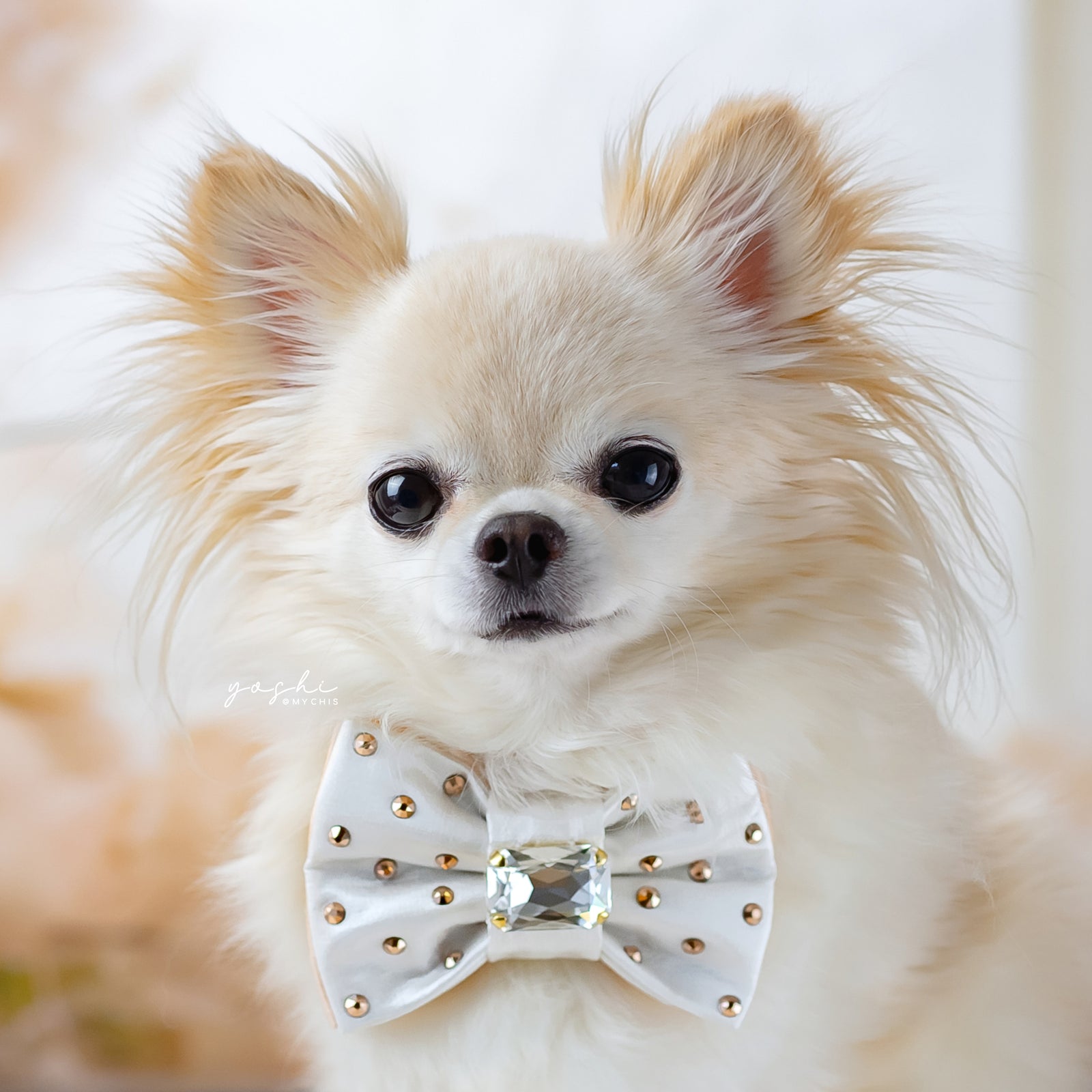 Peaches & Pearls Reversible Bejewelled Bow, Petite