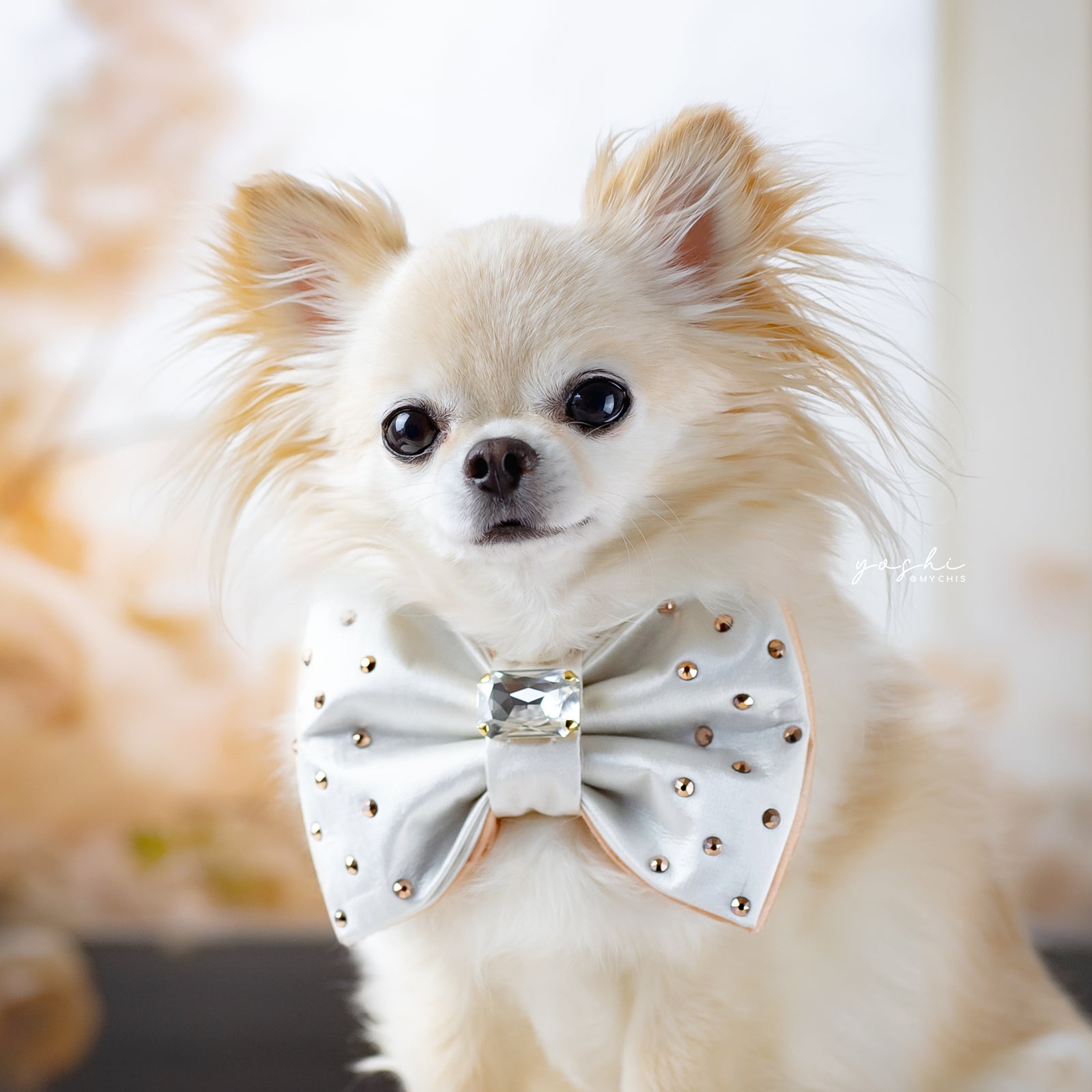 Peaches & Pearls Reversible Bejewelled Bow, Medium