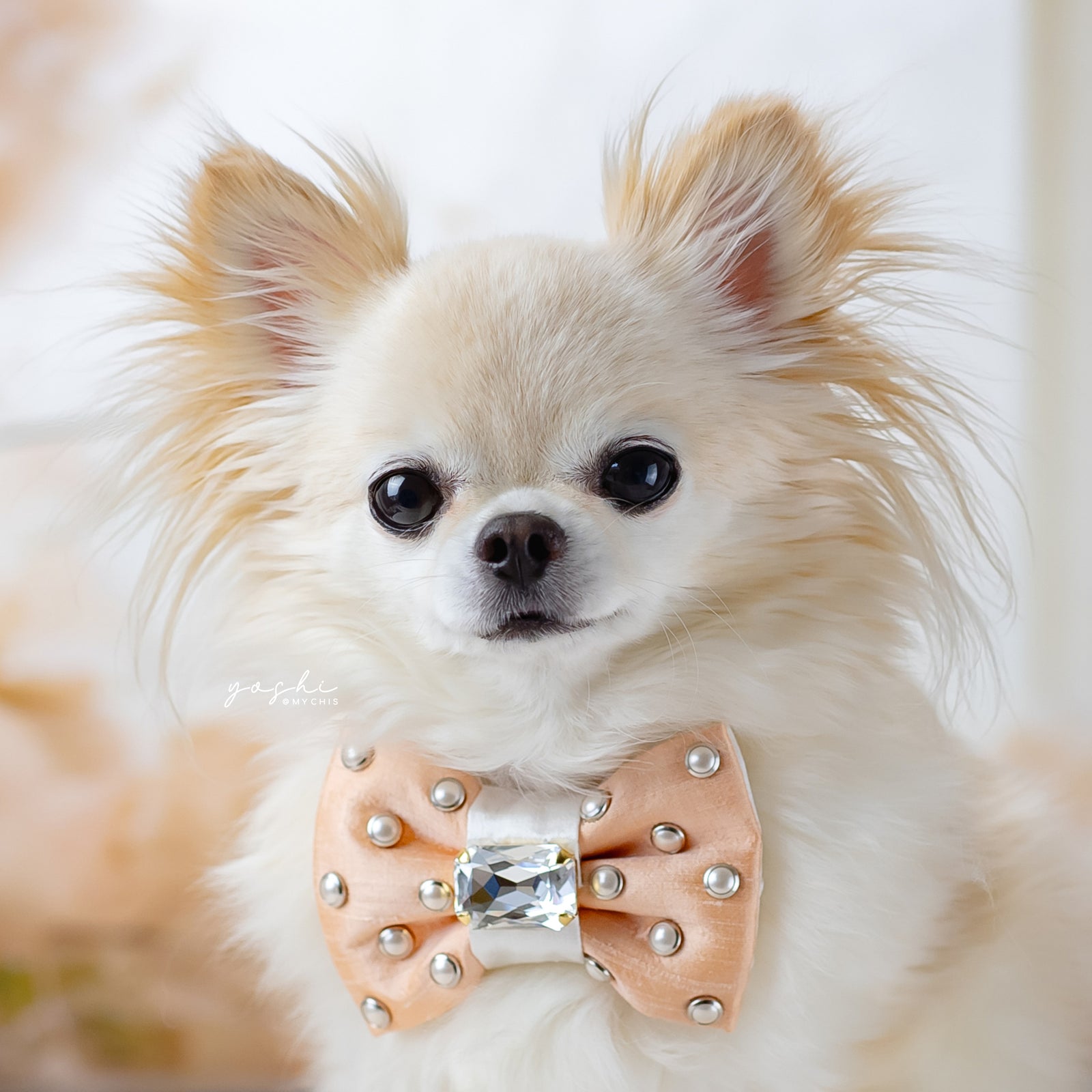 Peaches & Pearls Reversible Bejewelled Bow, Petite