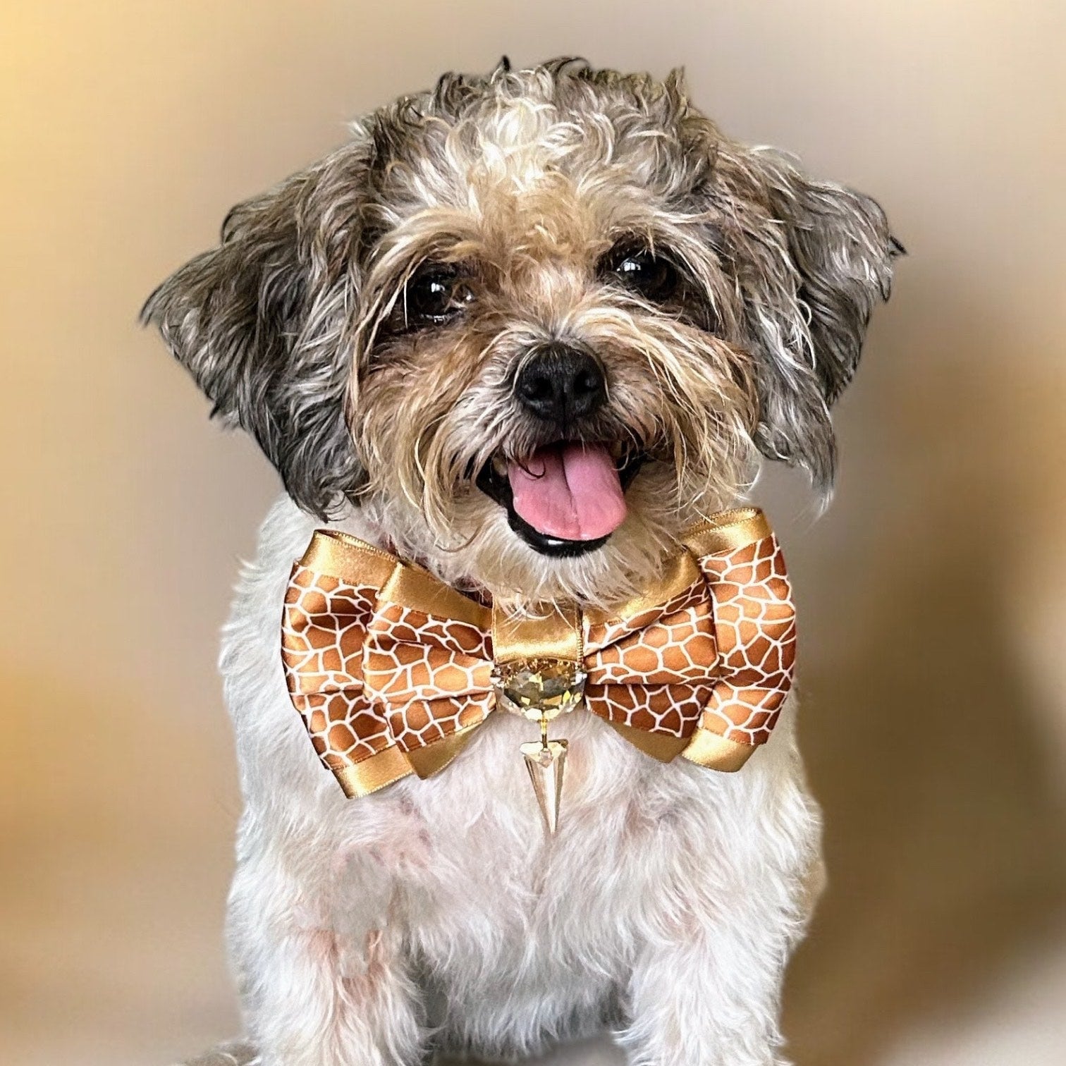 Serengeti Puppy Love Giraffe Bow, Medium