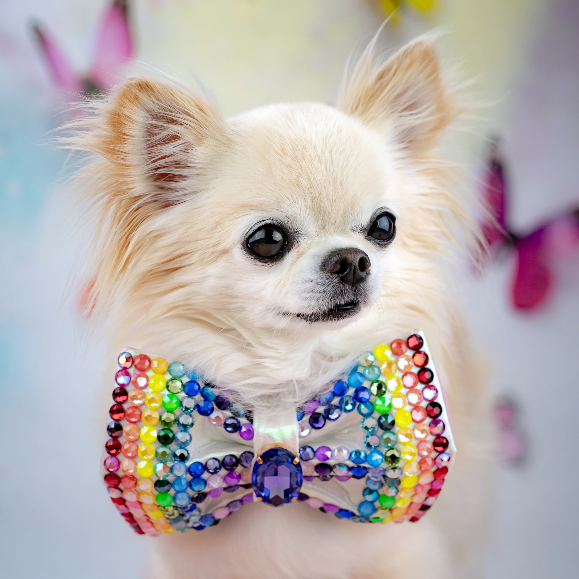 VIP Pride 2025 Bow, Medium