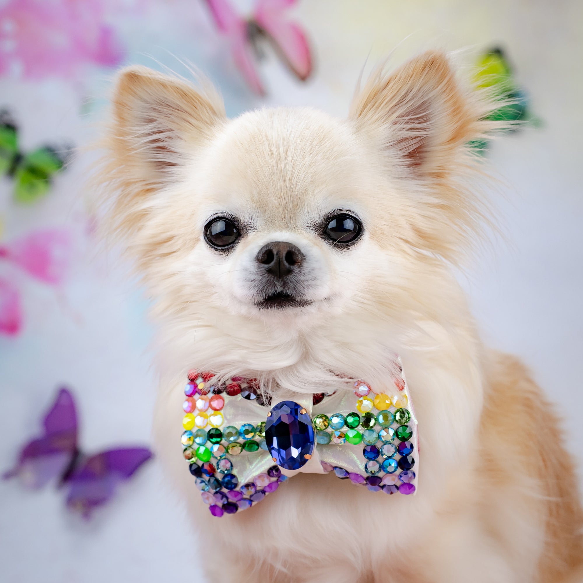 VIP Pride 2025 Bow, Petite