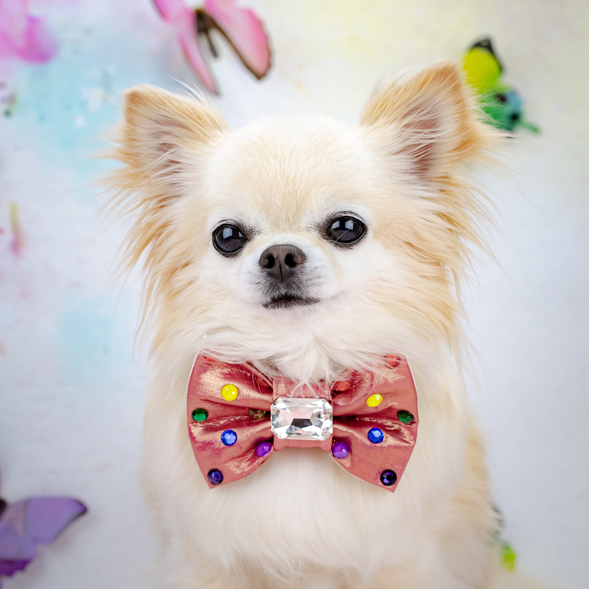 Pride 2025 Reversible Bow, Petite