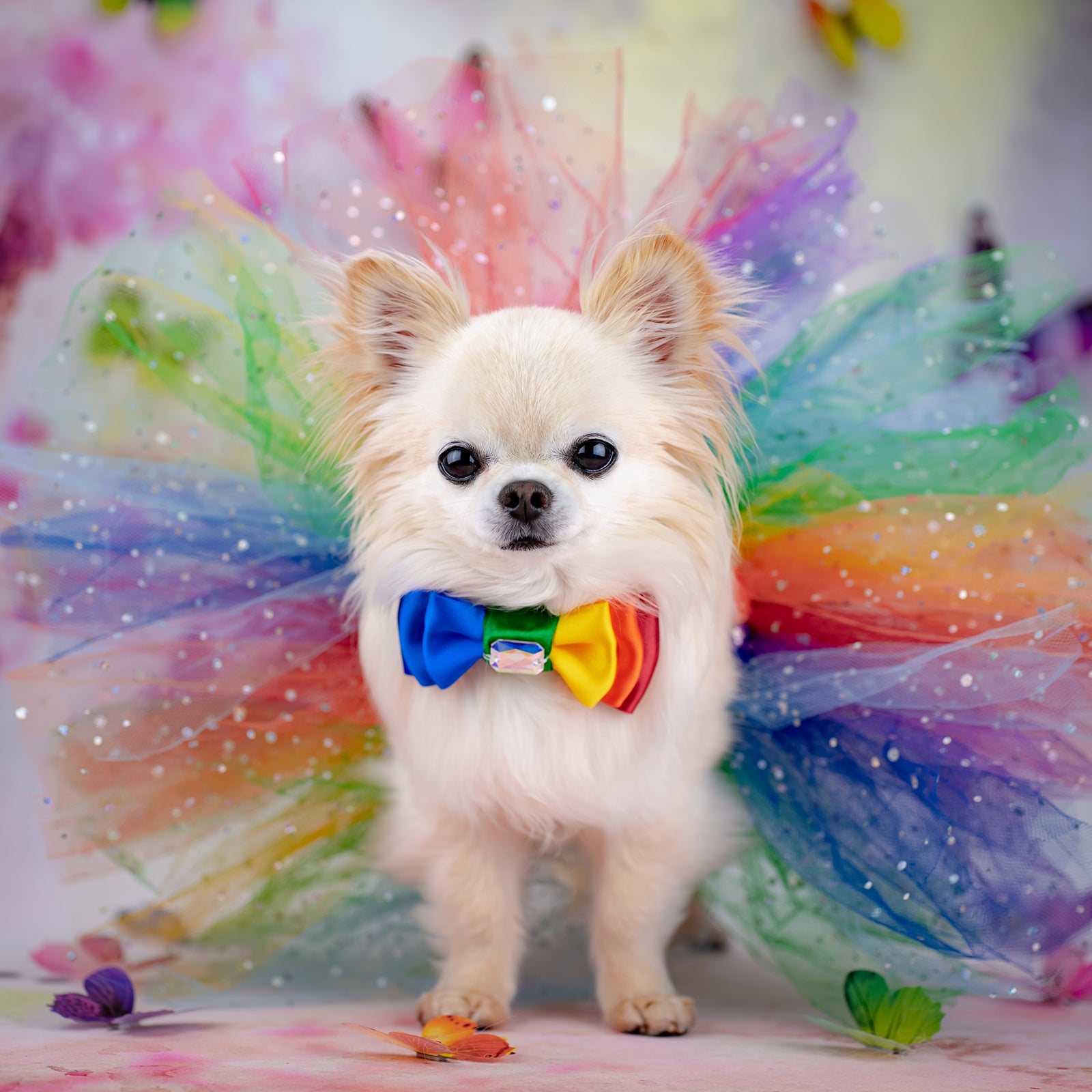 Pride 2026 Tutus