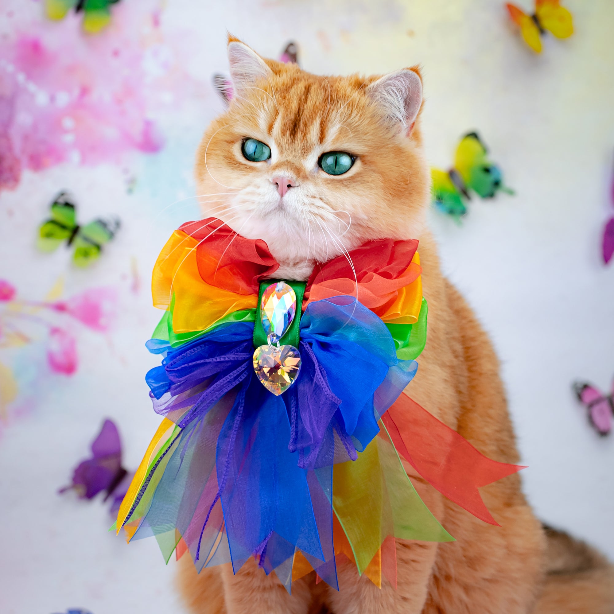 Pride 2025 Organza Rose Bow, Grand