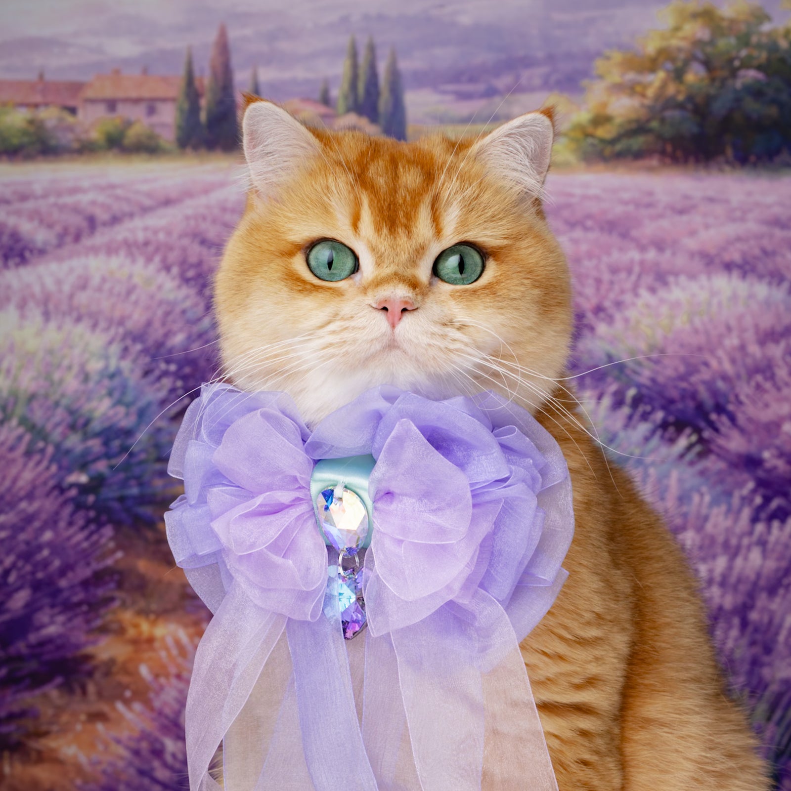 Provence Organza Rose, Grand